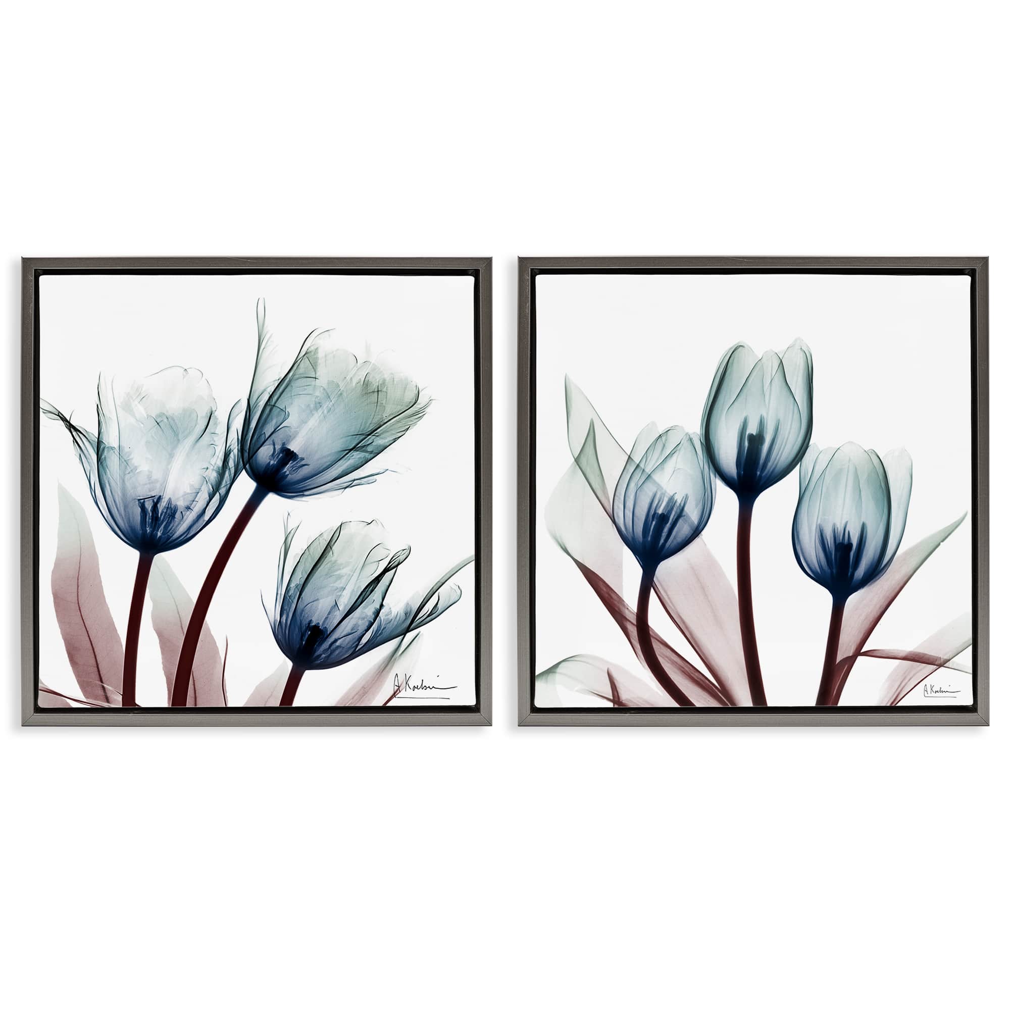 Stupell Industries B2-707-FFL-2PC-24X24 Vibrant Blue Tulips 2 Piece Gray Framed Floater Canvas Set By Albert Koetsier 25 x 25