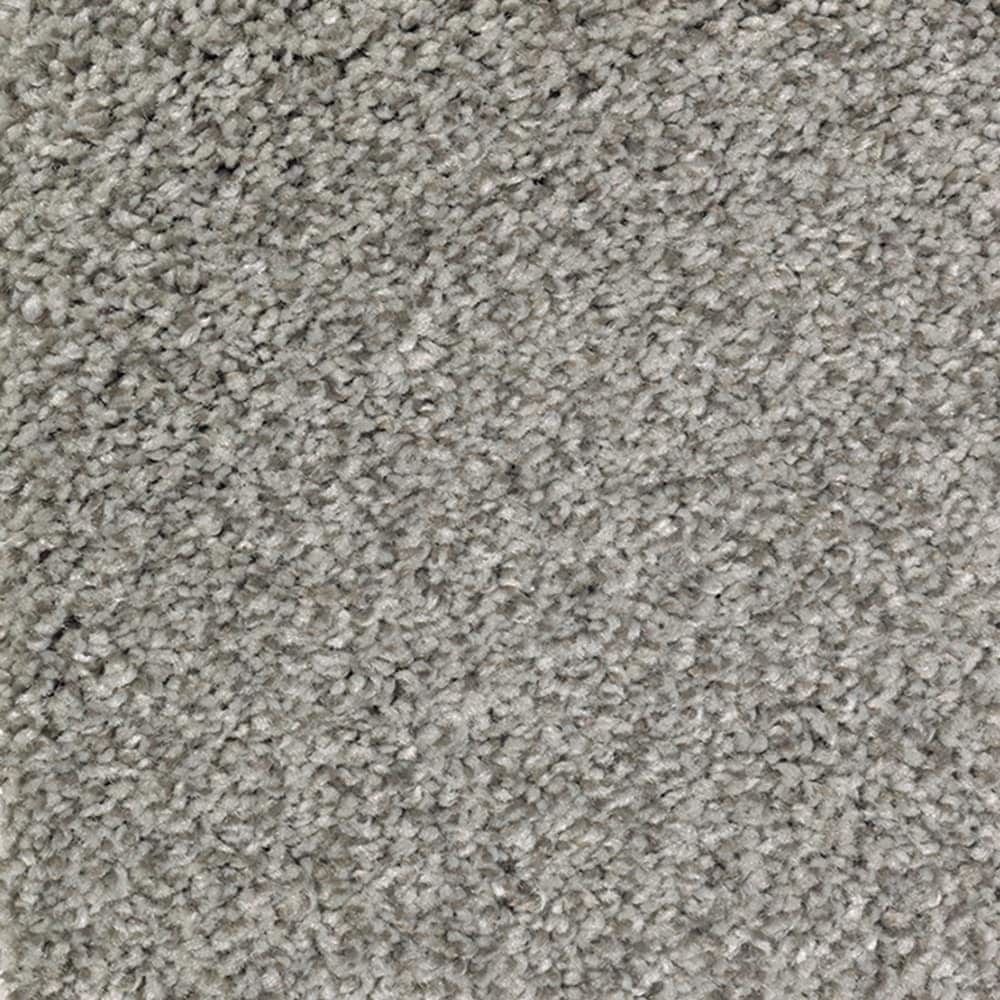 STAINMASTER STP21-L009-0808 (Sample) Soft cover Shadowland Gray 55-oz sq yard Polyester Textured Indoor Carpet