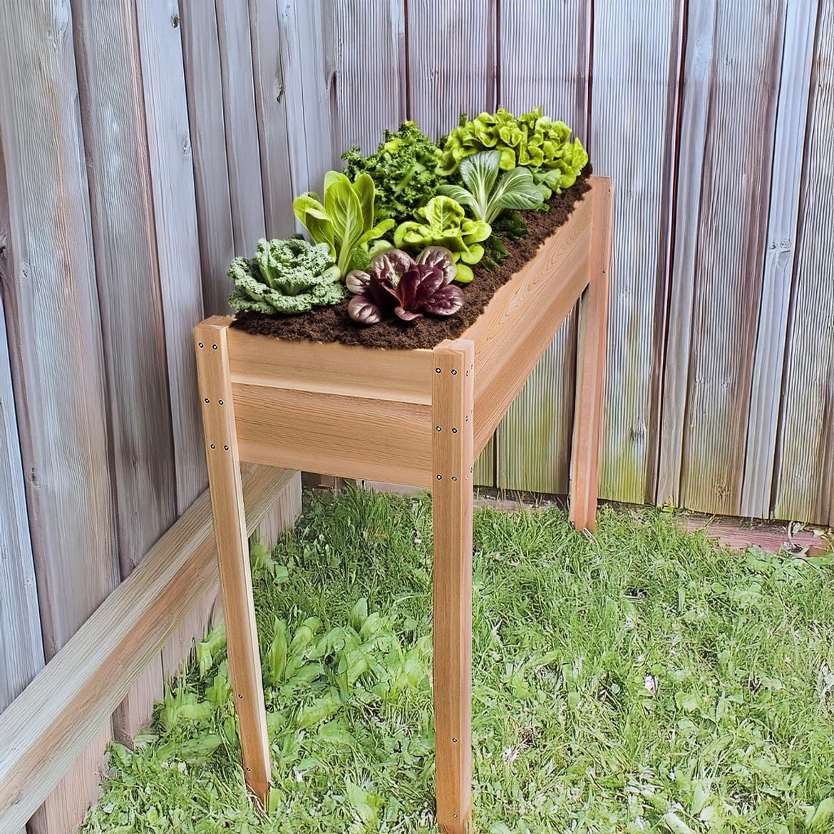 All Things Cedar RGL12 Raised-Garden-Beds - View #4