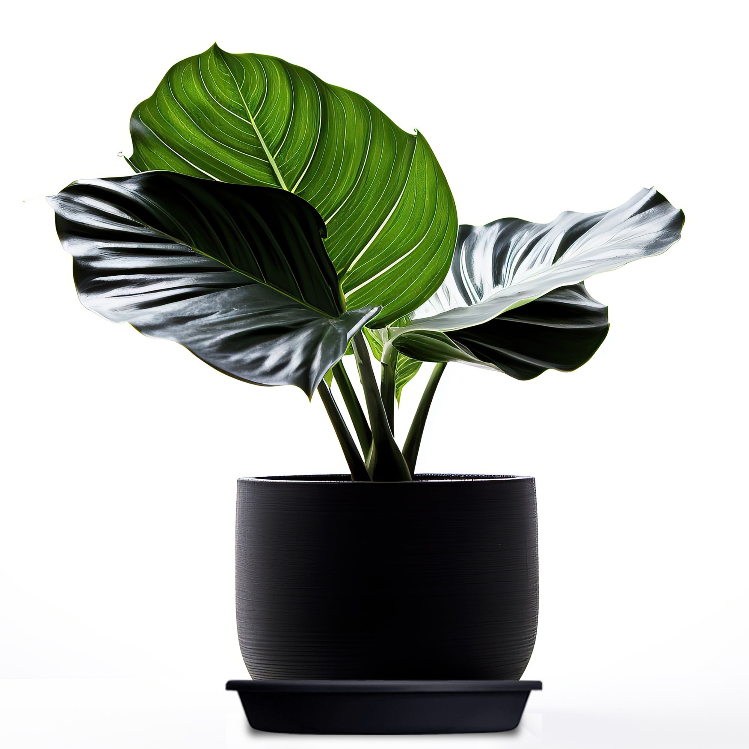 The HC Companies 219260 Planter-Window-Box - View #6