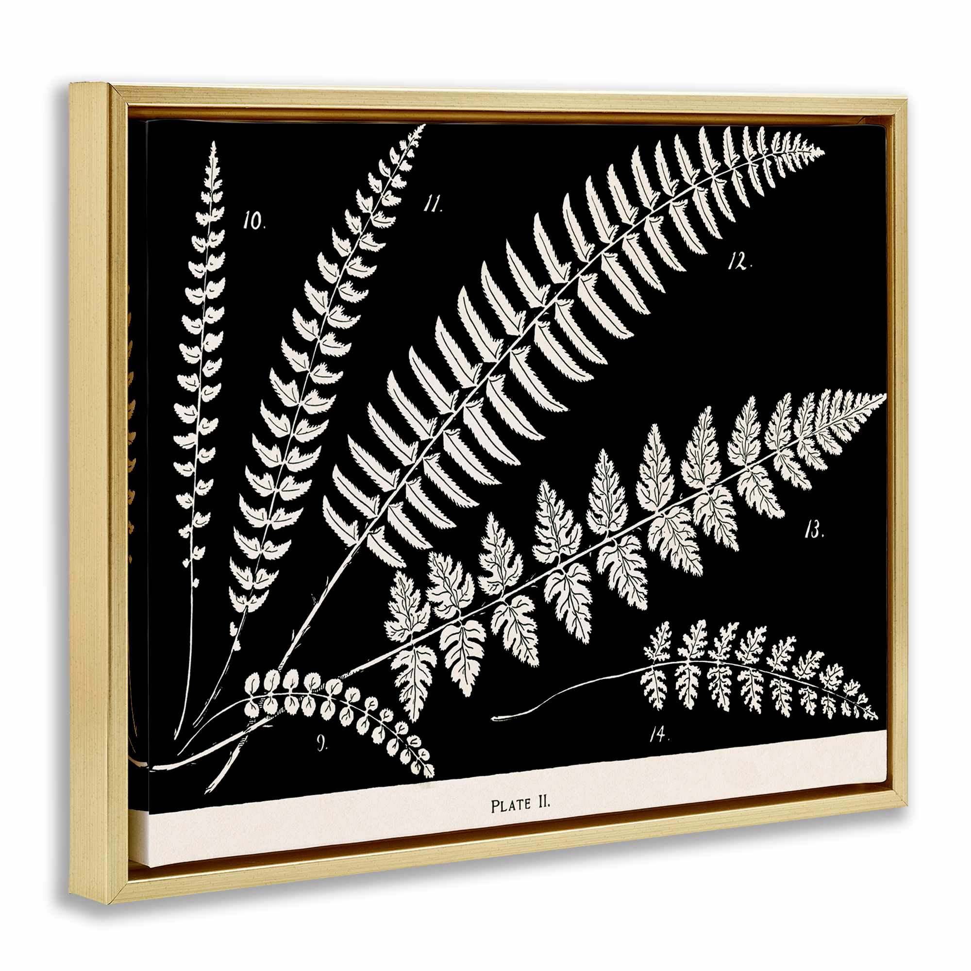 Stupell Industries BT-461-FFG-16X20 Wall-Art - View #2