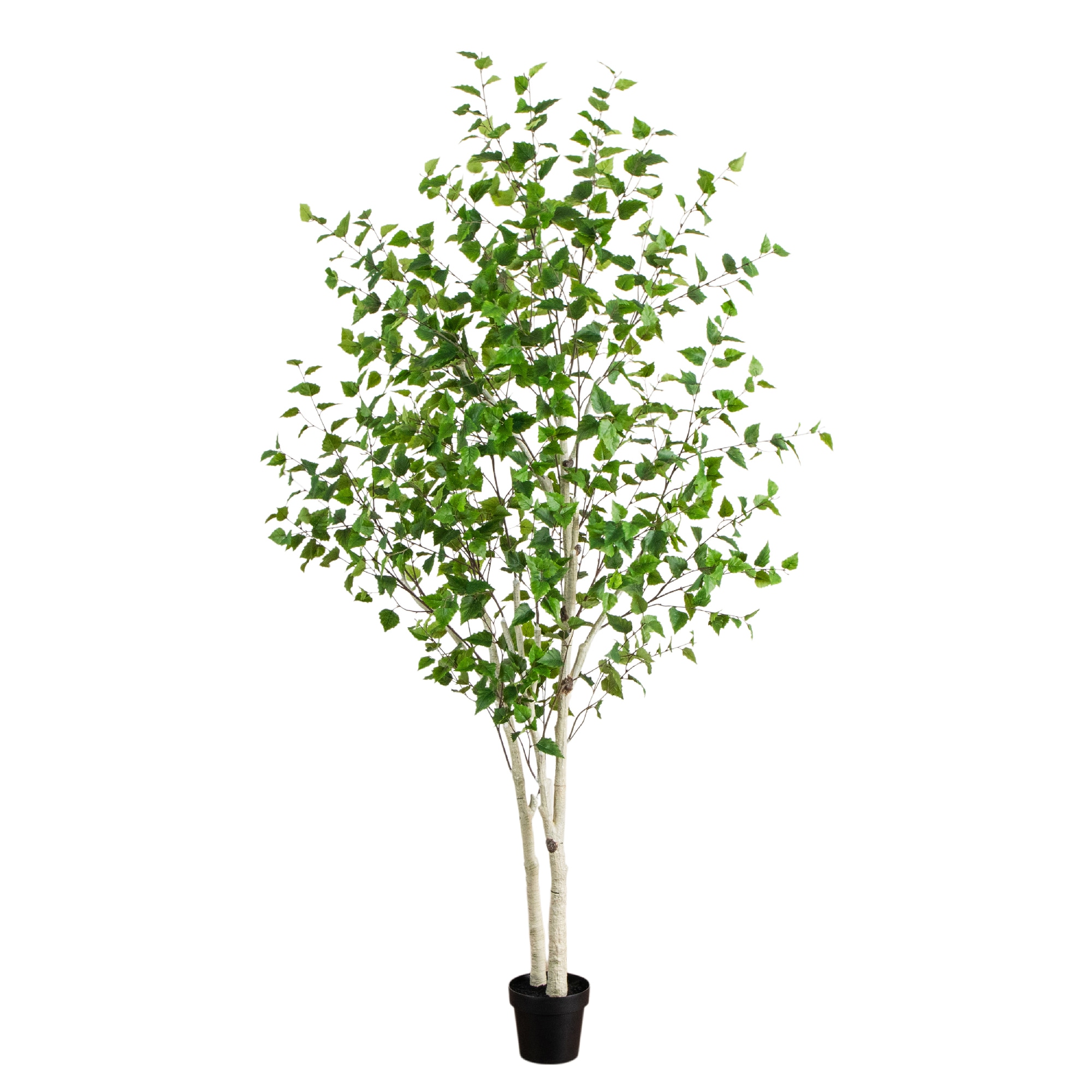  8-ft Artificial Birch Tree with Real Touch Leaves
