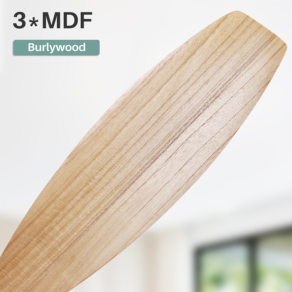 Sofucor LW-52K077-WH-YM Ceiling-Fans - View #6