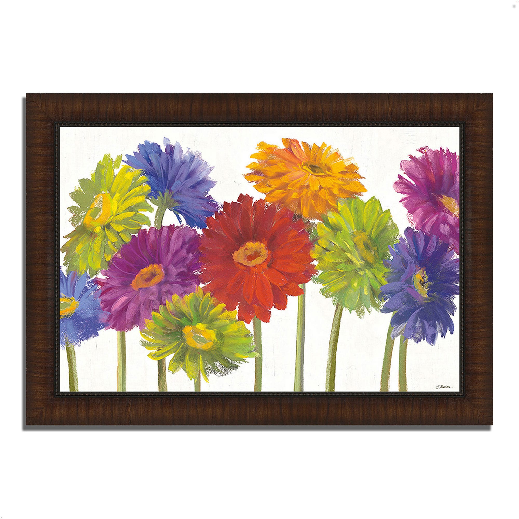 Tangletown Fine Art 617595-4330P120 Colorful Gerbera Daisies Carol Rowan Brown Wood Framed 36-in H x 51-in W Floral Paper Print