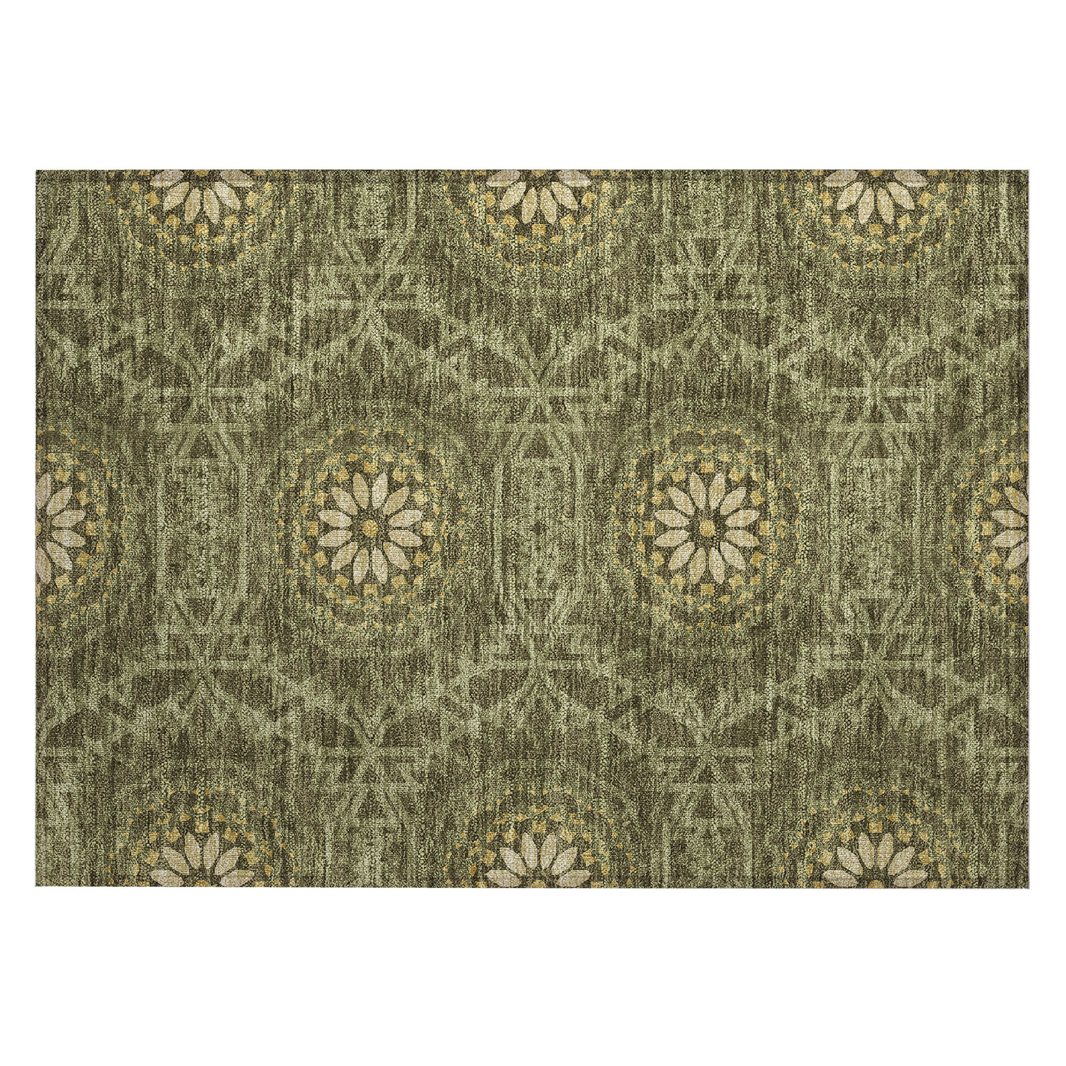 Addison Rugs ACN619OL20X30 rugs - View #2