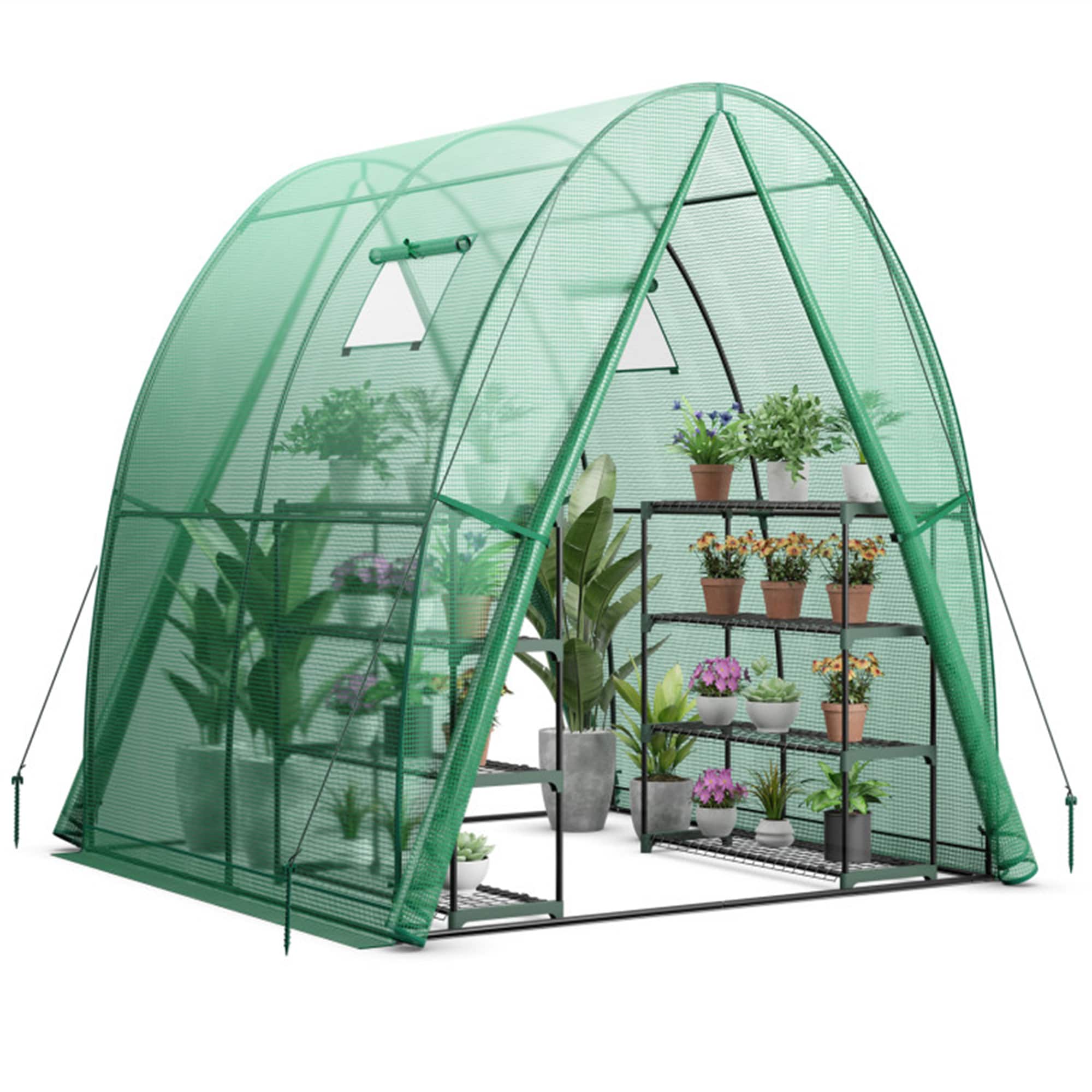 BABOOM BOM-T4124GN-CO greenhouses - View #9