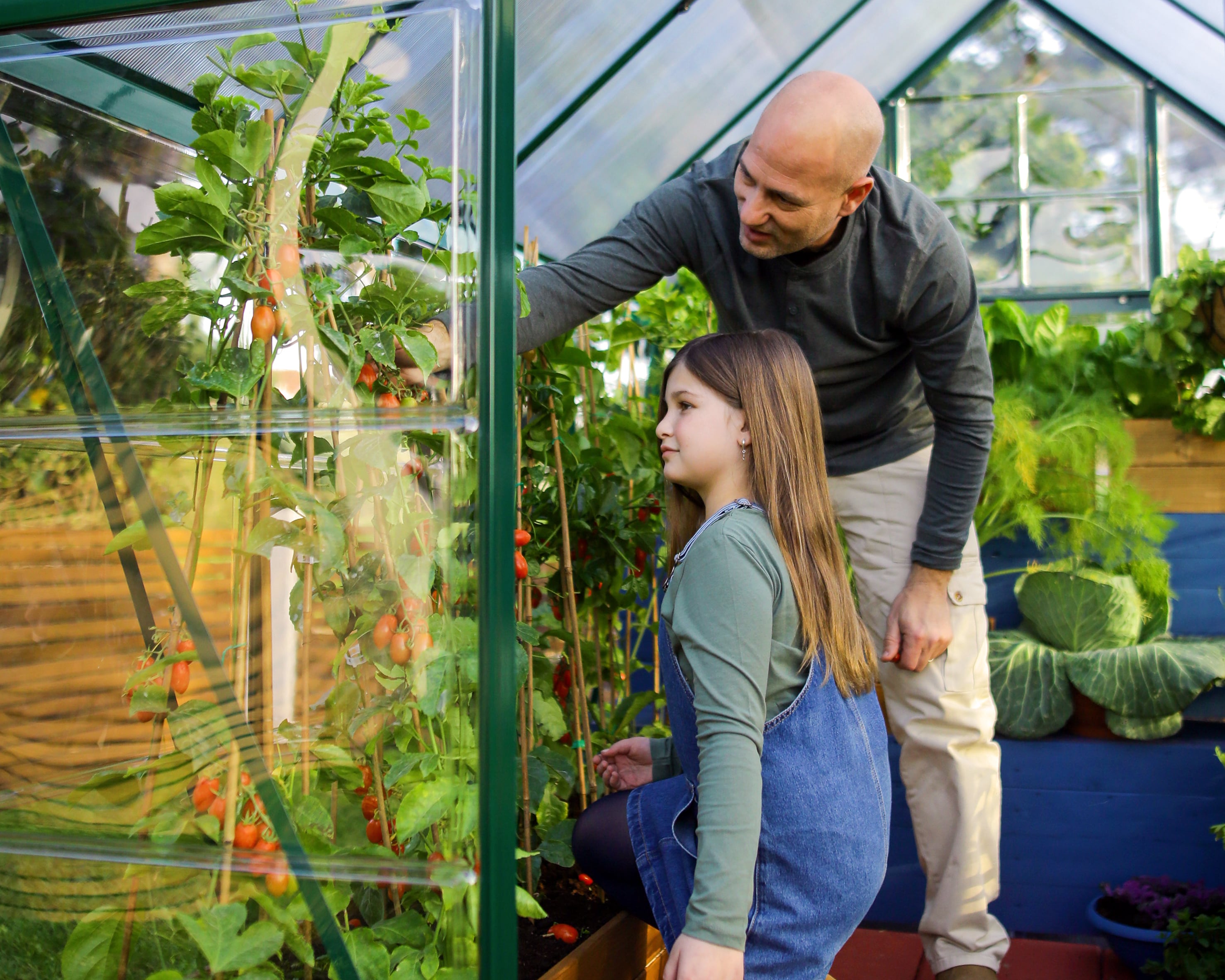Canopia by Palram 701652 greenhouses - View #4