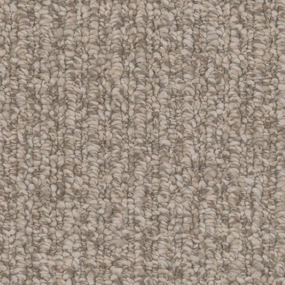 STAINMASTER S9540-30014-S (Sample) Deerfield Brown 40-oz sq yard Polyester Pattern Indoor Carpet