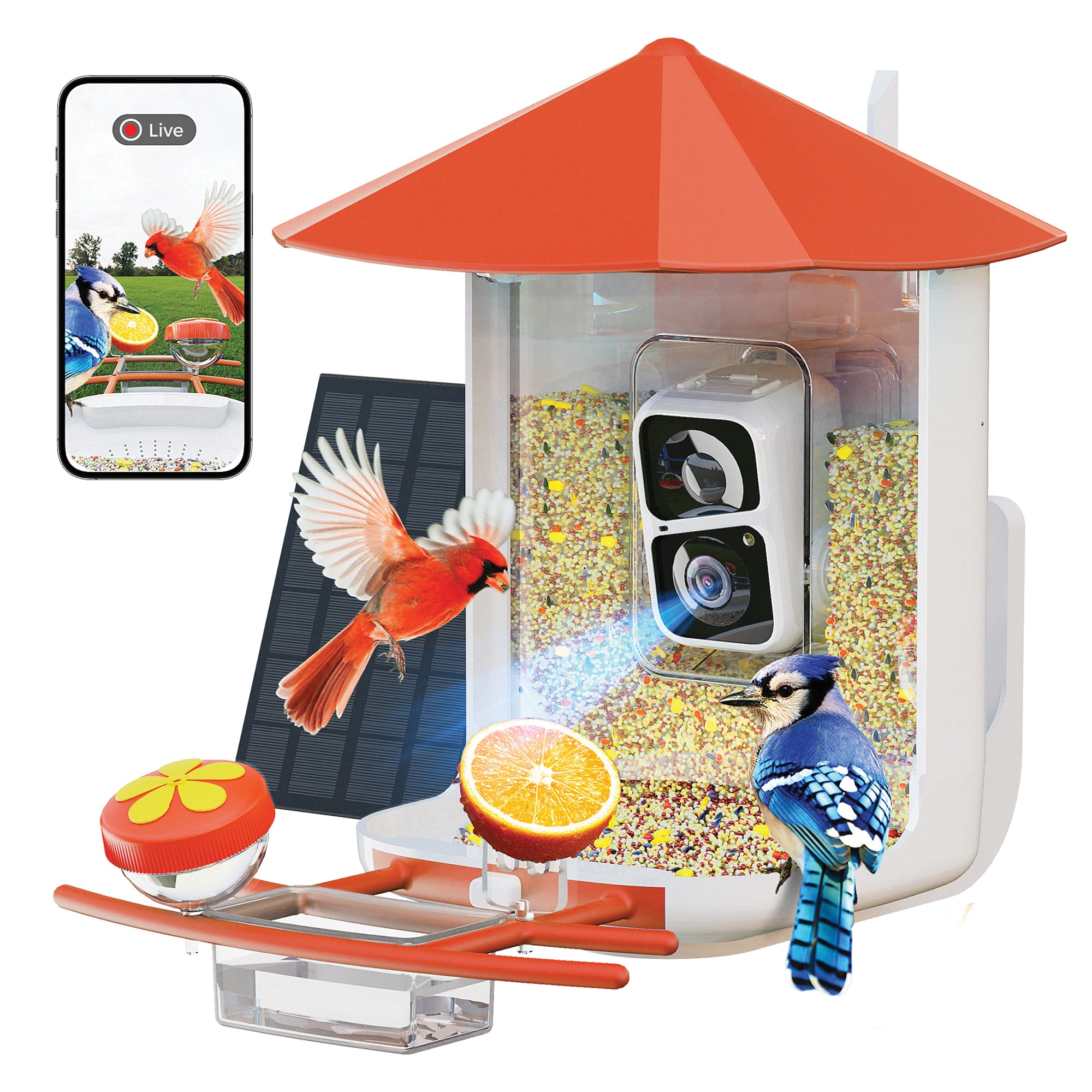 PerchMe YAOSFBFVC01 Bird-Feeders - View #10