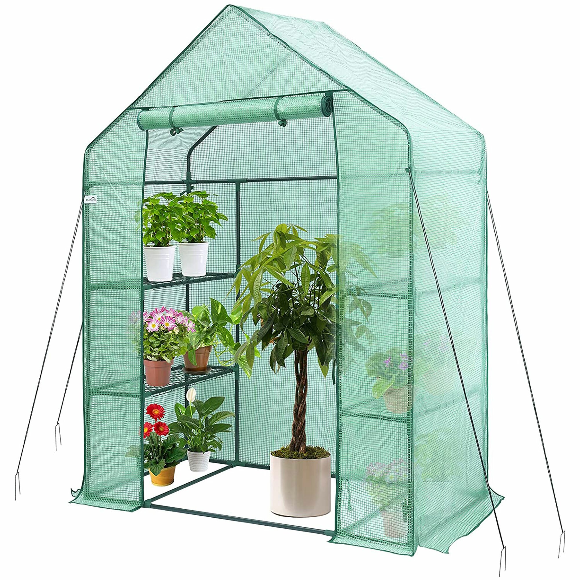 Hanience 297047 greenhouses - View #2