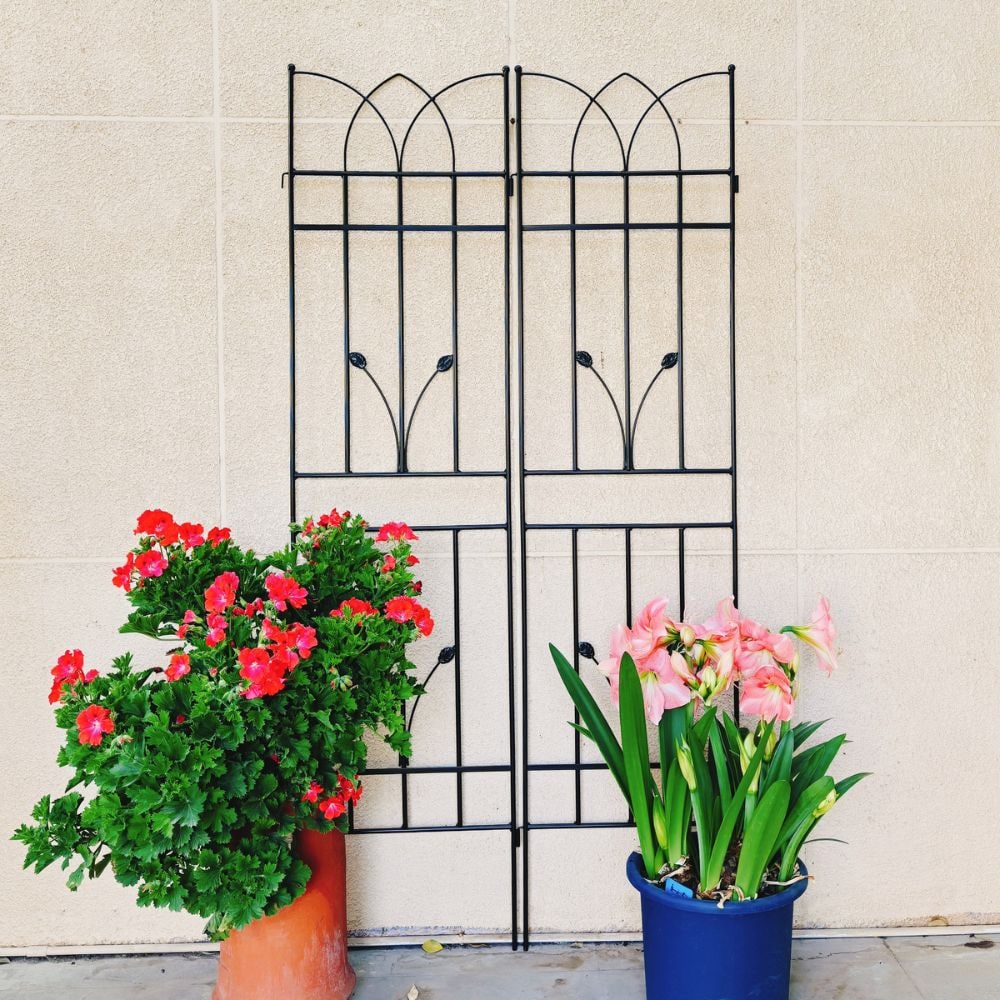 Blisstyle Garden Life 17.7-in W x 71-in H Black Iron Scroll Garden Trellis For Climbing Plants For Cucumbers For Roses For Tomatoes 2 -Pack