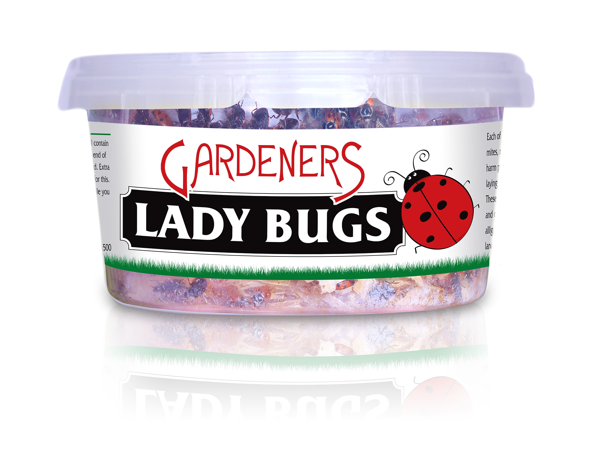 Gardeners Organic Ladybugs for Pest Control - Safe & Effective