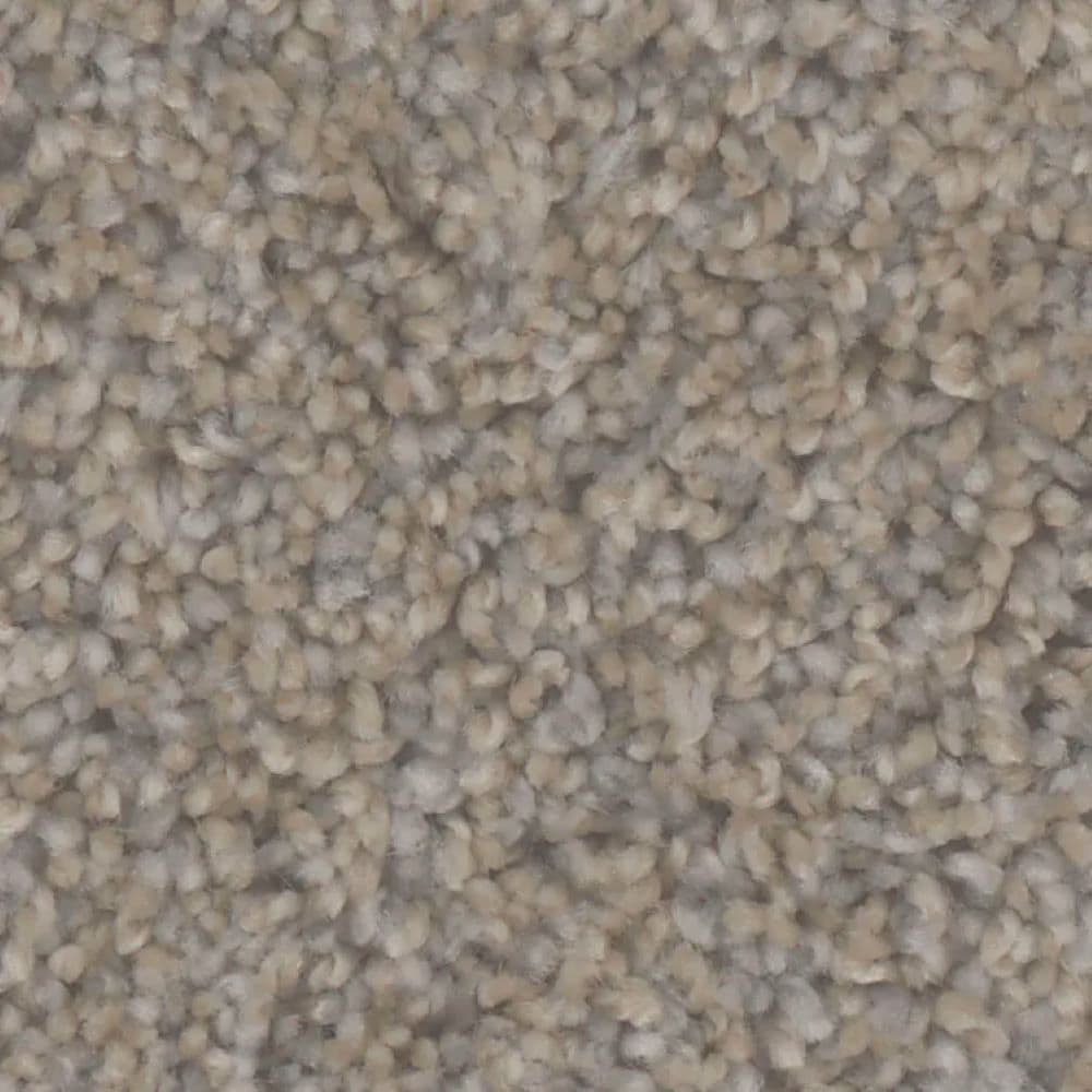 STAINMASTER S9960-20007-S (Sample) Beach Brown 60-oz sq yard Polyester Textured Indoor Carpet