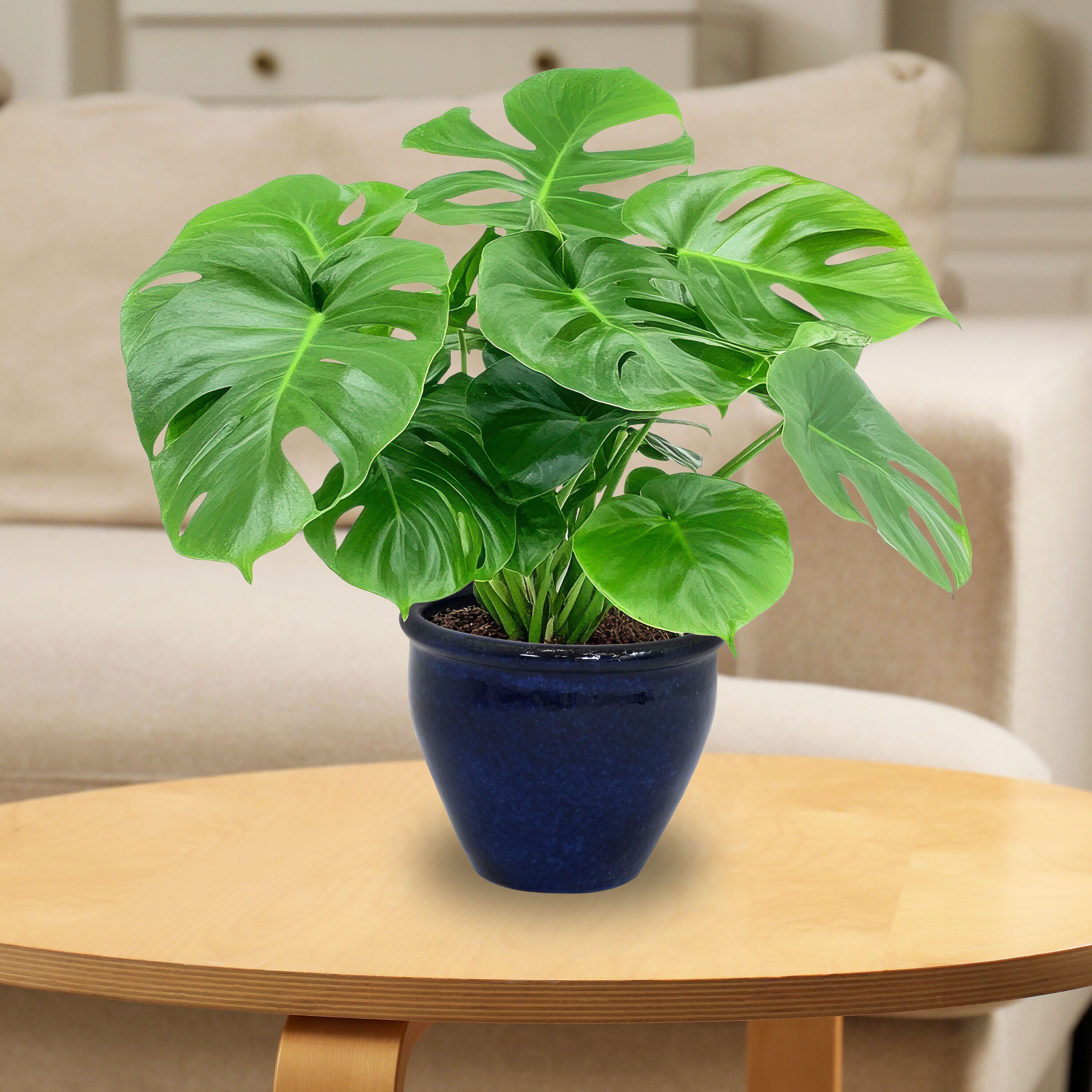 Sunnydaze Decor AP-902 Planter-Window-Box - View #7