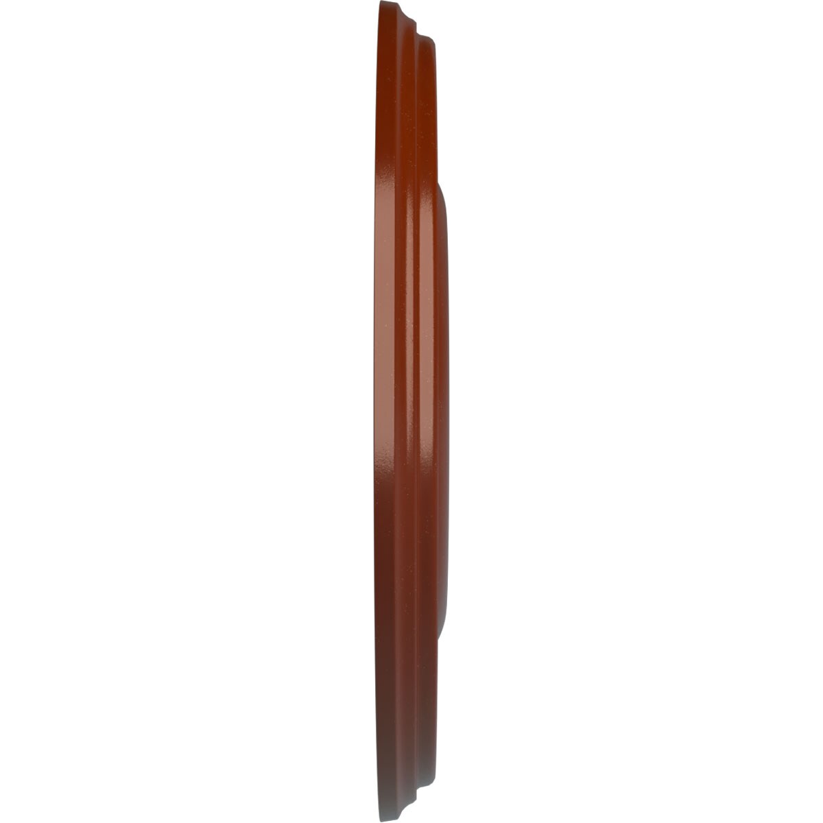 Ekena Millwork CM18BRFIF Ceiling-Medallions - View #3