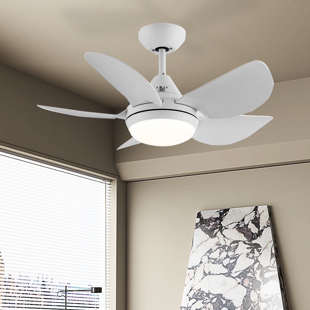 Sunrinx CF-22-DS Ceiling-Fans - View #11