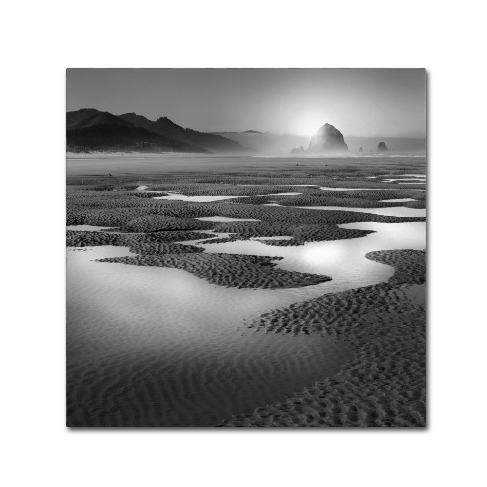 Trademark Fine Art ALI1059-C1818GG Framed 18-Inches H x 18-Inches W Landscape Canvas Print