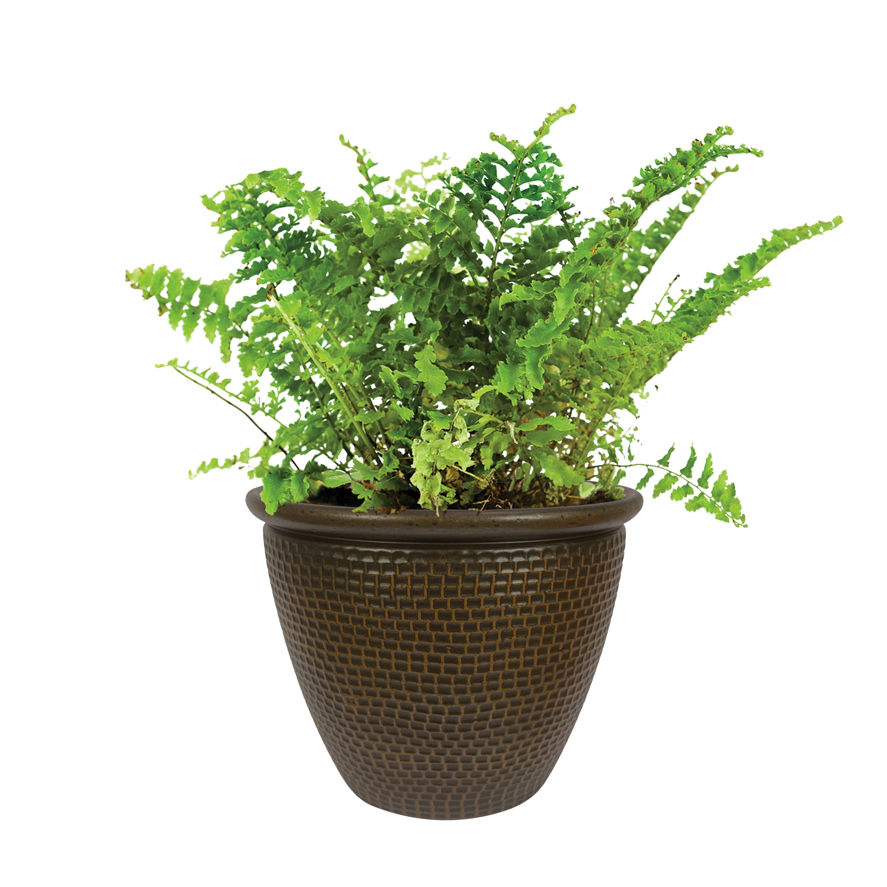 allen + roth US840649 Planter-Window-Box - View #10