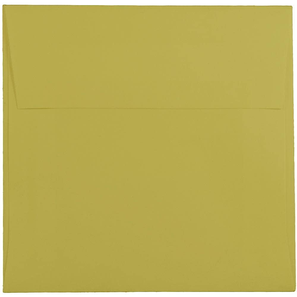 JAM Paper EXBA509 25-Pack Invitation-Envelope