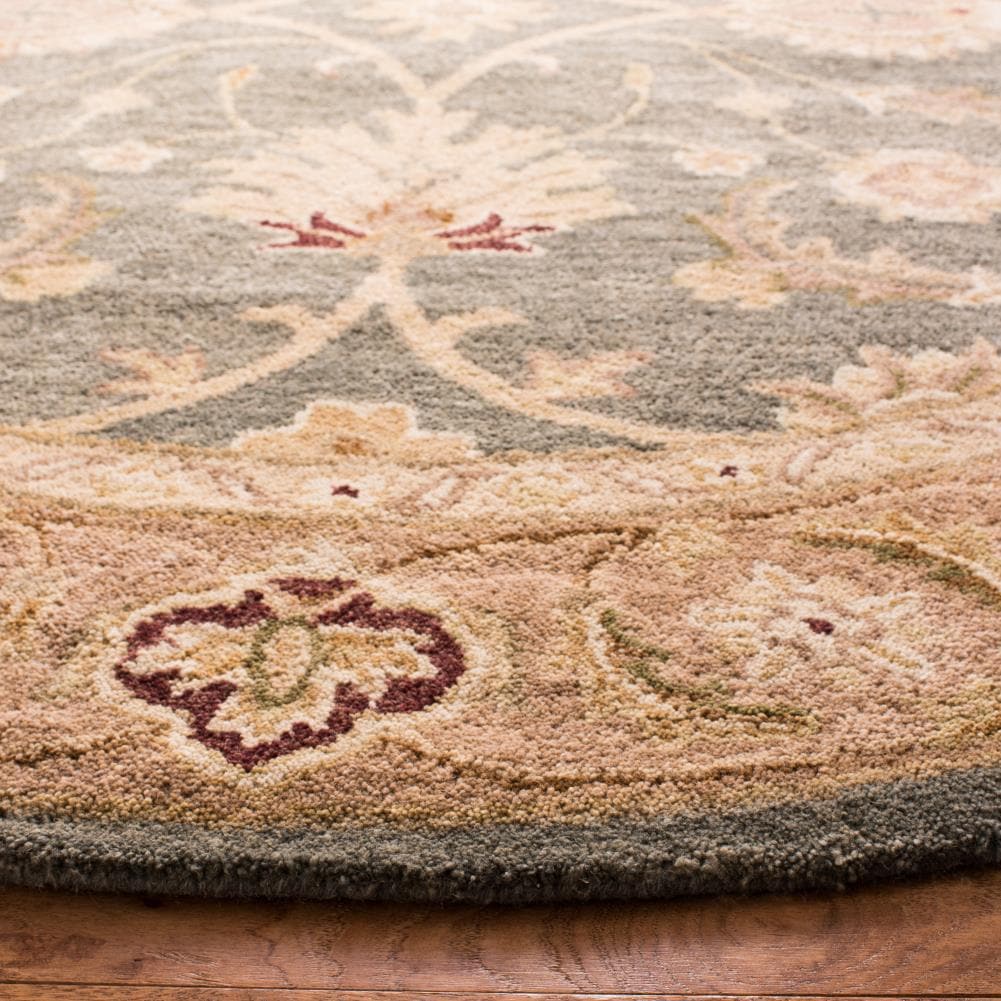 Safavieh AN549B-6R rugs - View #3