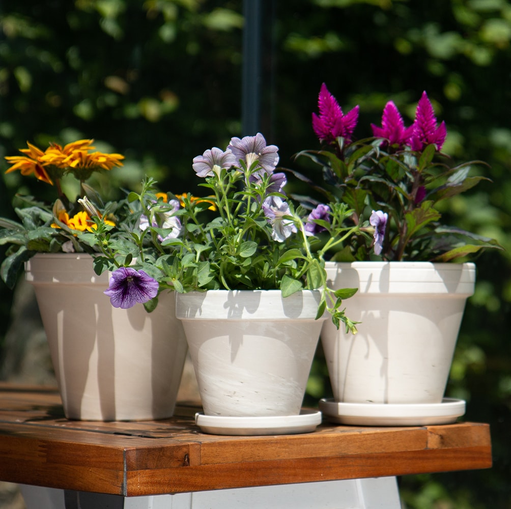  805557 Planter-Window-Box - View #2