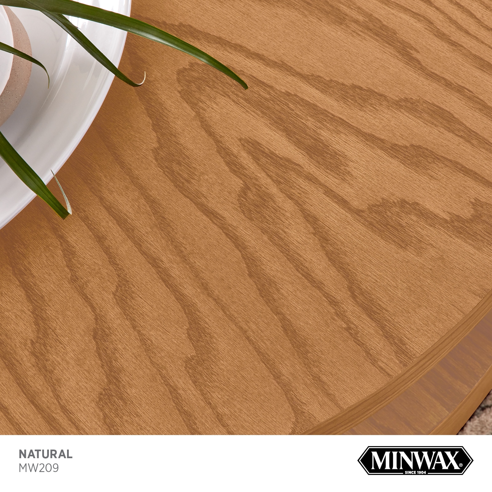 Minwax MW209-1658612 Interior-Stain - View #2