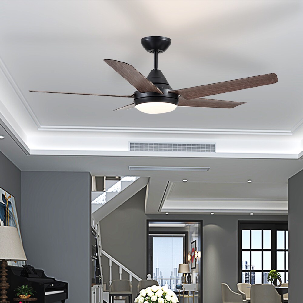 Sunrinx CF-32-DS Ceiling-Fans - View #13