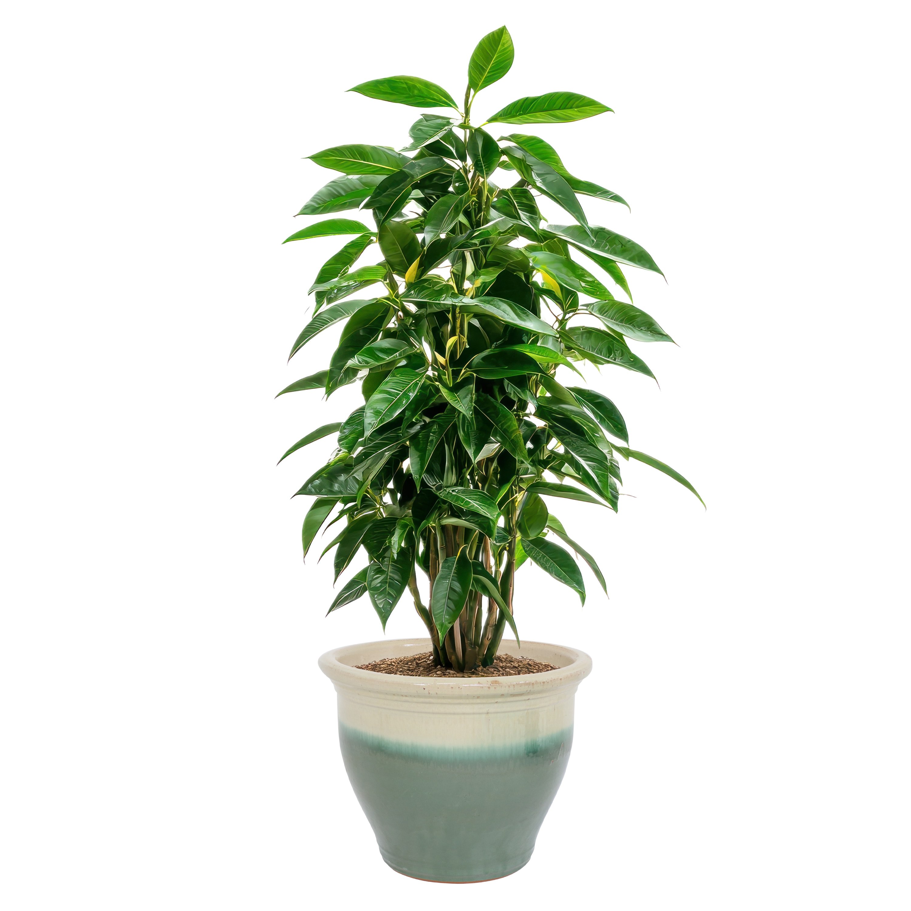 Sunnydaze Decor AP-940 Planter-Window-Box - View #7
