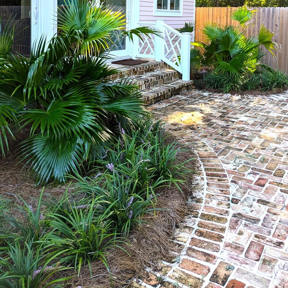 Flowerwood 4005LP (LOWES) Ornamental-Grasses - View #3