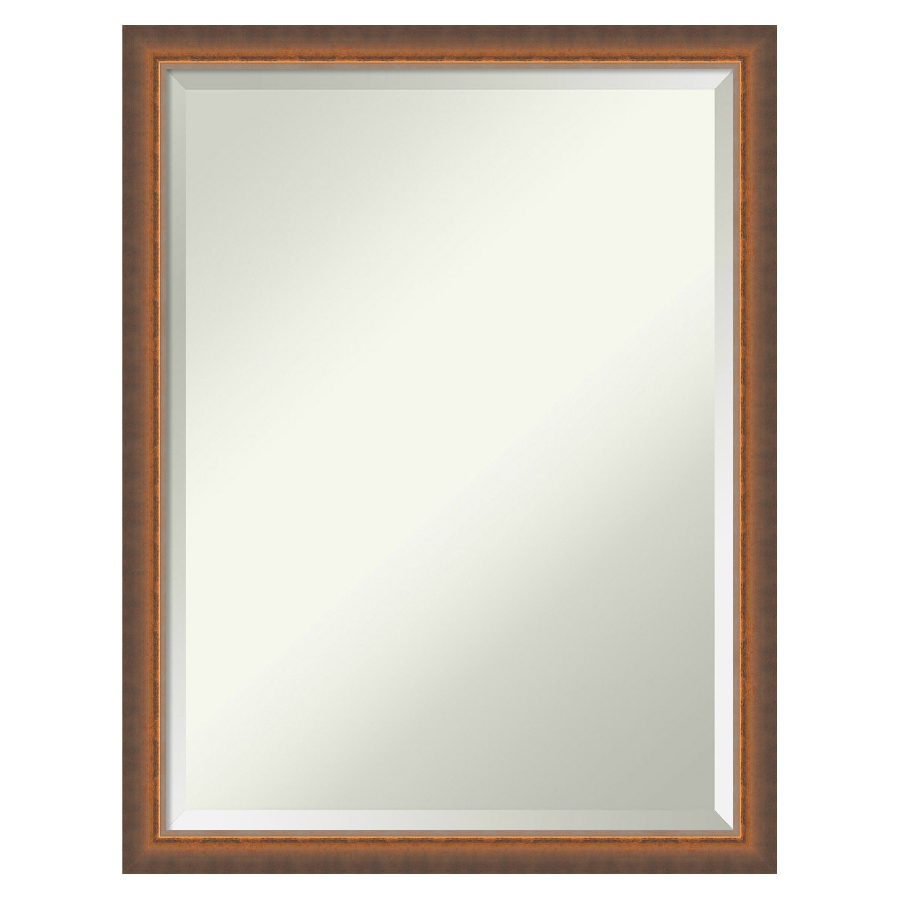Amanti Art Two Tone Bronze Copper Frame 20.25-in W x 26.25-in H Rectangle Two Tone Bronze Copper Framed Wall Mirror