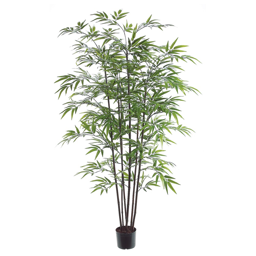 Allstate Floral LTB455-GR 60-in Green Indoor Floor Bamboo Artificial tree