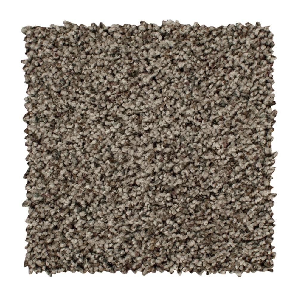STAINMASTER LW192-L007-0808 (Sample) 72 Hour Program, Soft Step I Bungalow Textured Carpet
