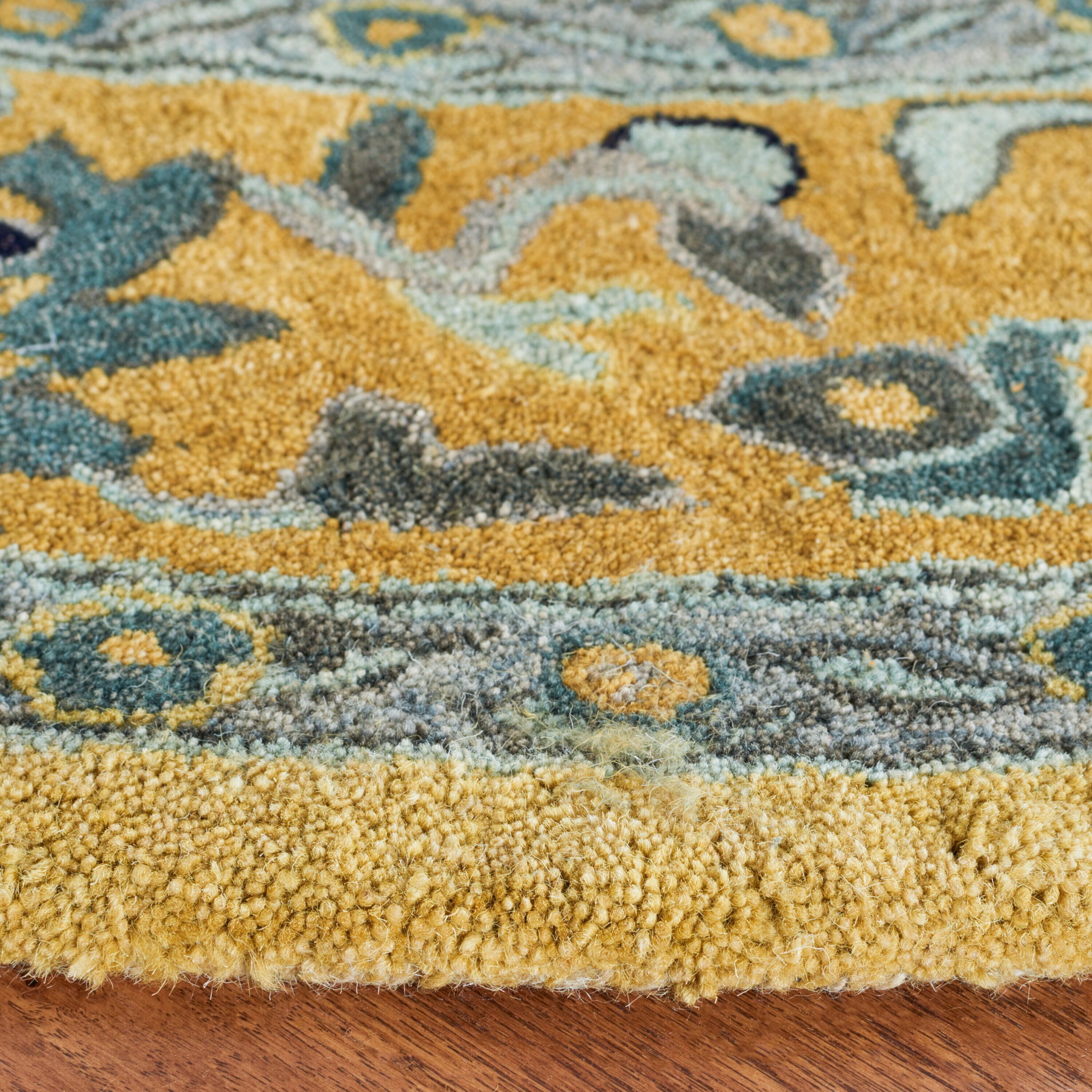 Safavieh AN580C-6R rugs - View #3