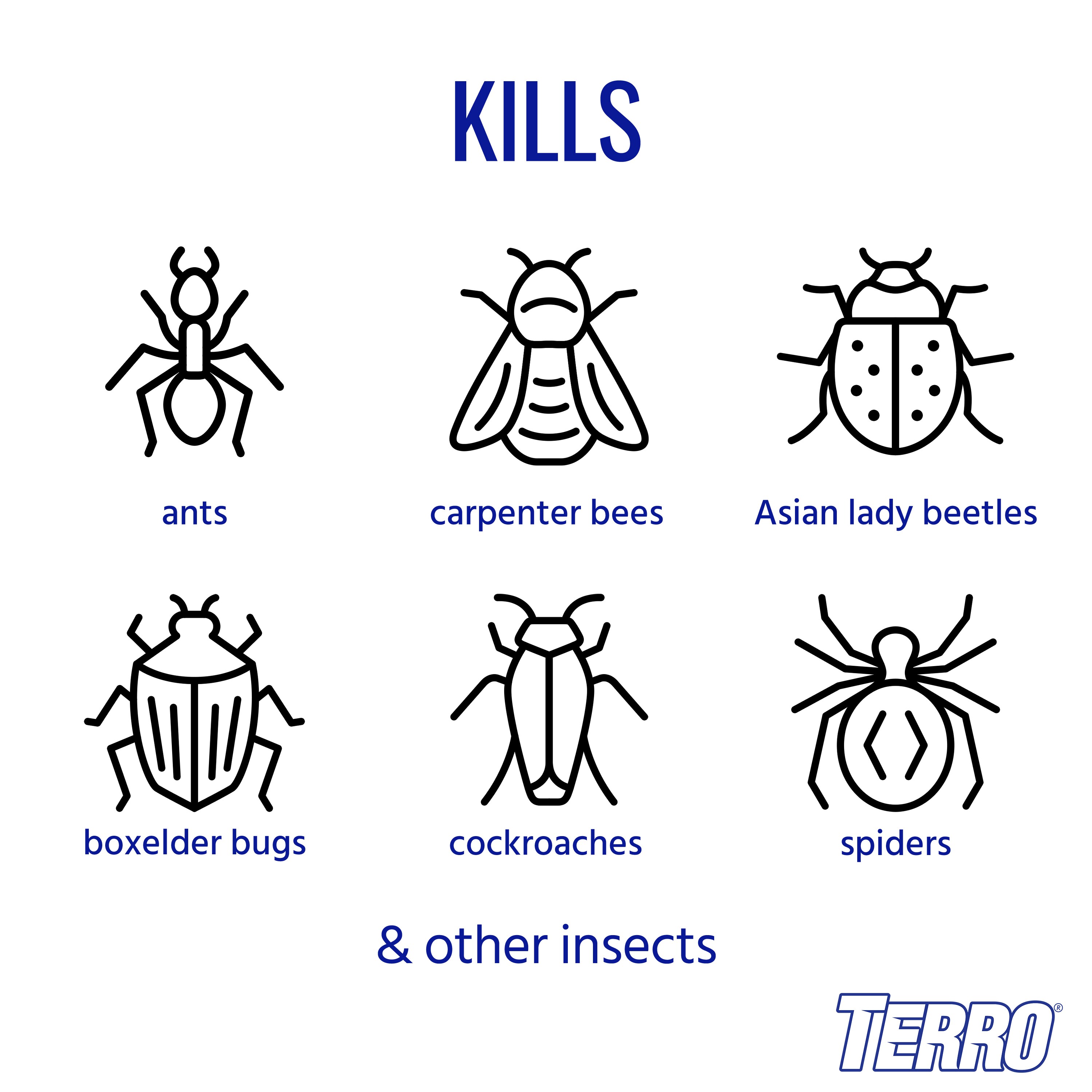 TERRO T1700 pesticides - View #2