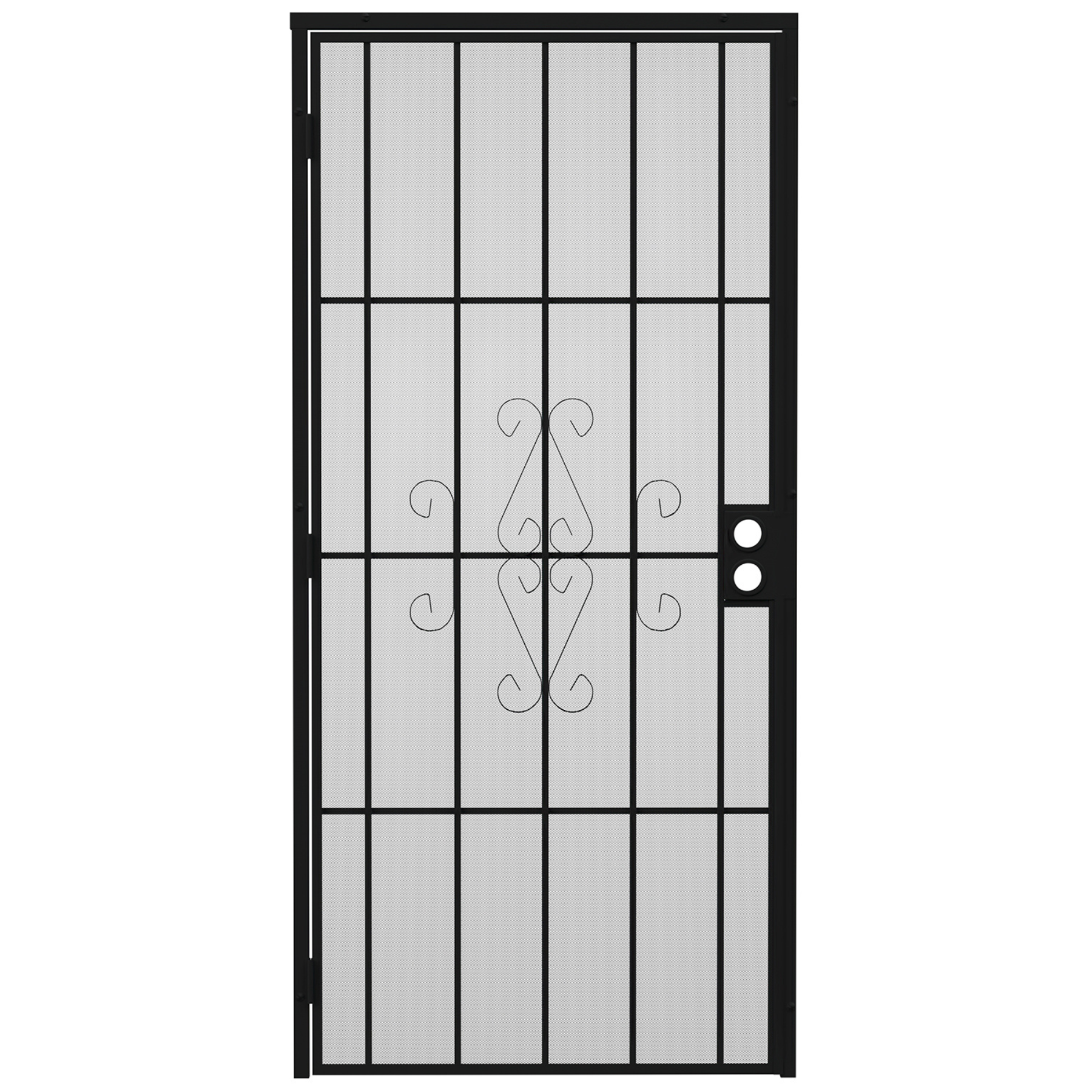 Gatehouse Magnum 36-in X 81-in Black Steel Surface Mount Security Door ...