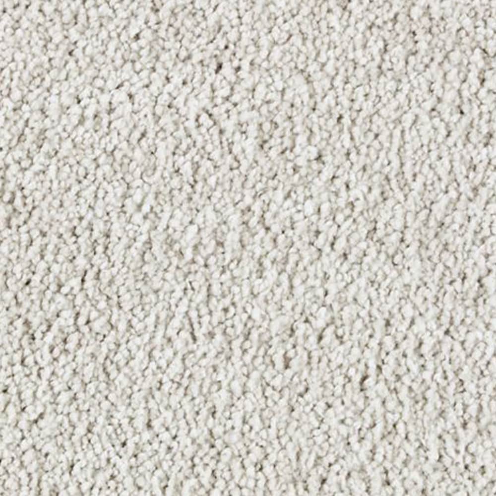 STAINMASTER PetProtect STP25-L008-0808 (Sample) Alluring splendor II Greige Brown 58-oz sq yard Triexta Textured Indoor Carpet