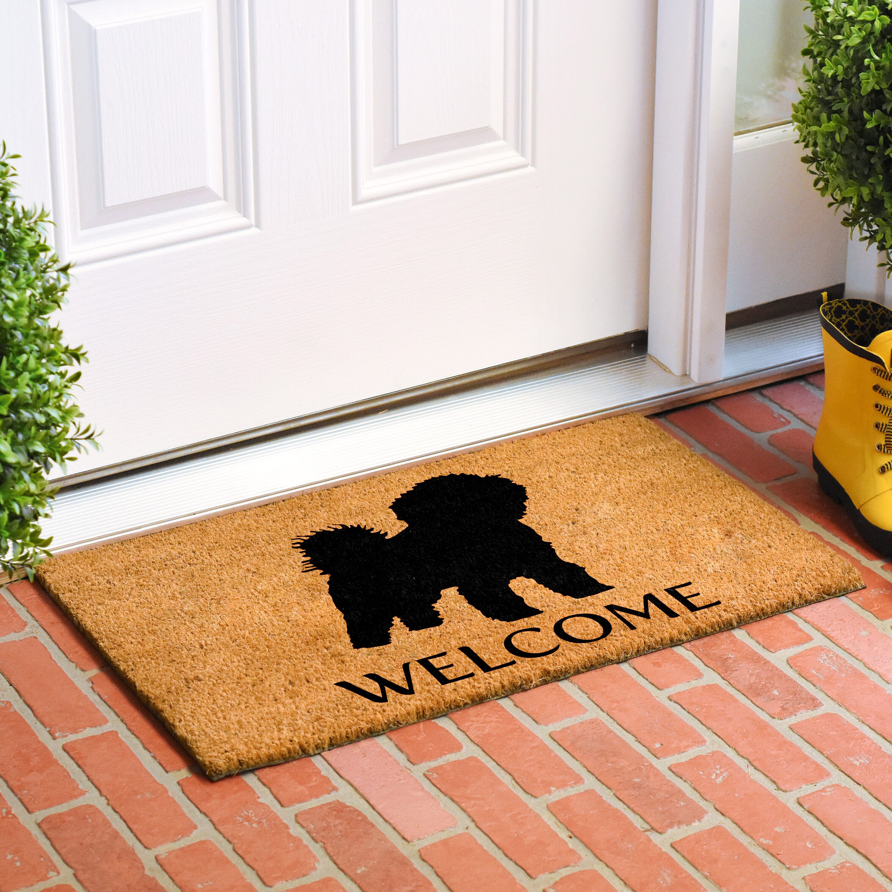 Callowaymills 106882436 Mats-Cat - View #2