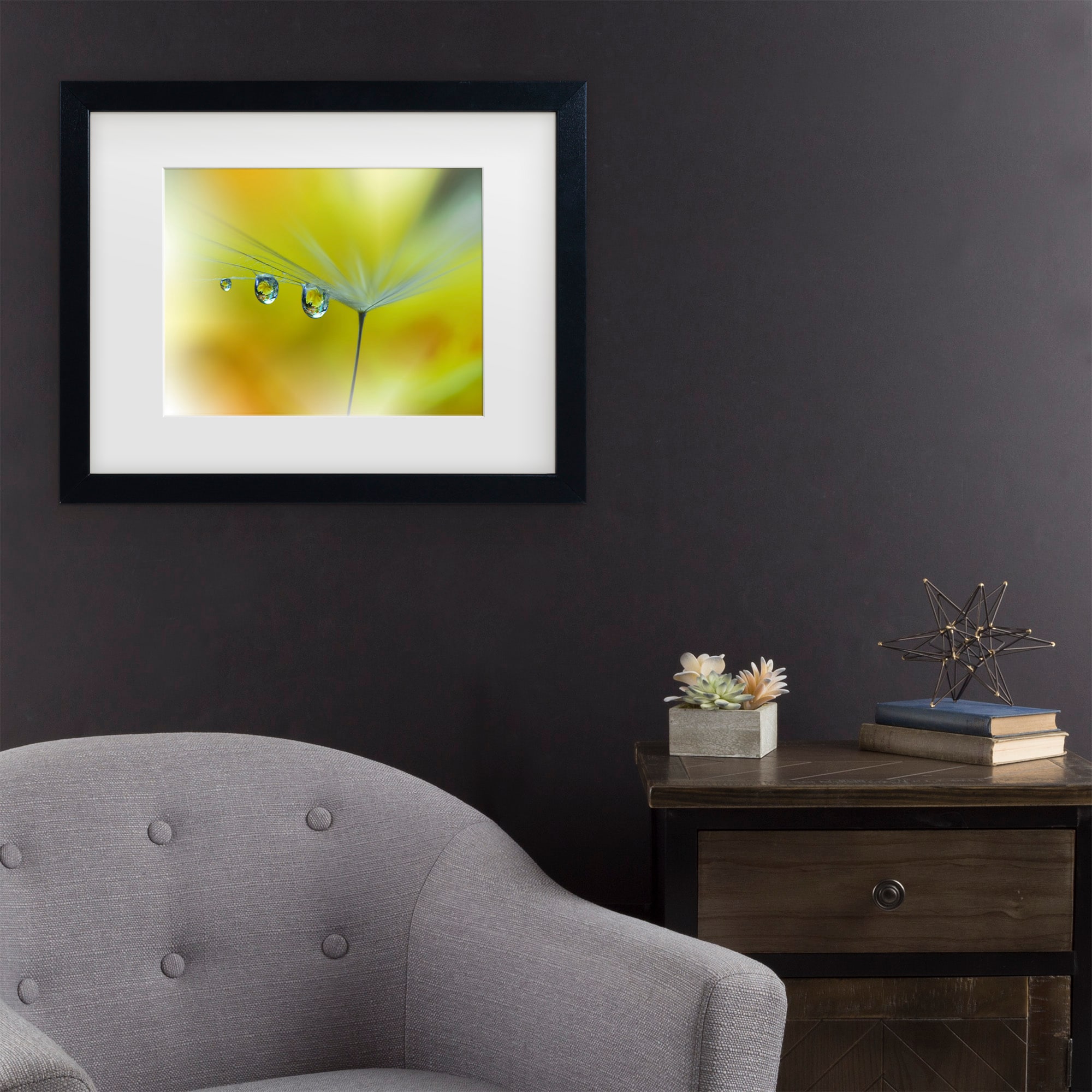 Trademark Fine Art 1X10921-B1620MF Sunbeam III Juliana Nan Black Frame Wood Framed 16-Inches H x 20-Inches W Modern Canvas Print