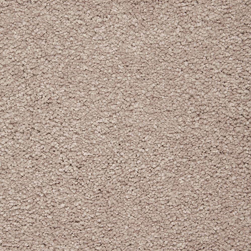 STAINMASTER PetProtect STP55-L009-0808 (Sample) Purrfectly Pampered Clam Island Brown 60-oz sq yard Triexta Textured Indoor Carpet