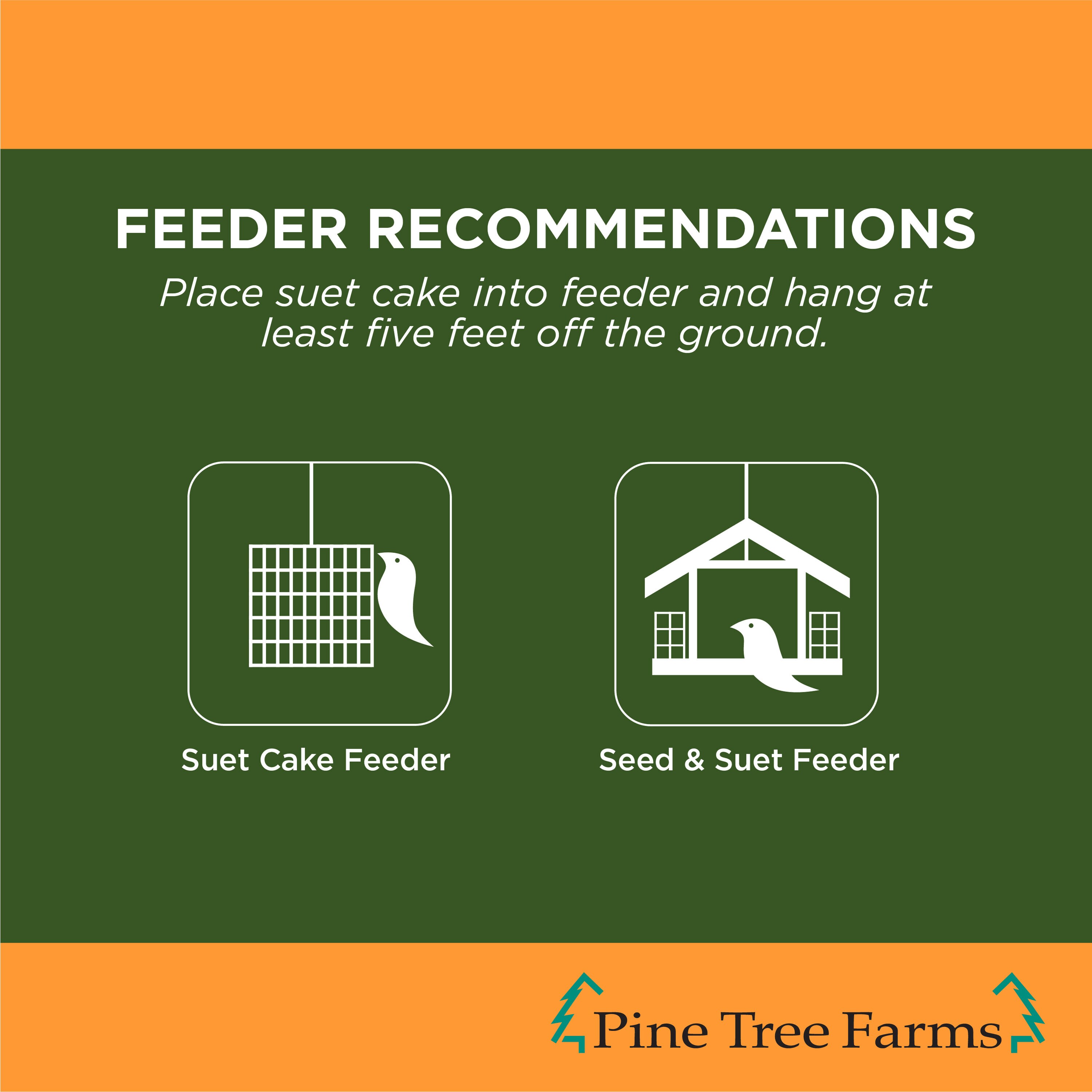 Birdwatcher's Best 2597072 Bird-Squirrel-Food - View #6