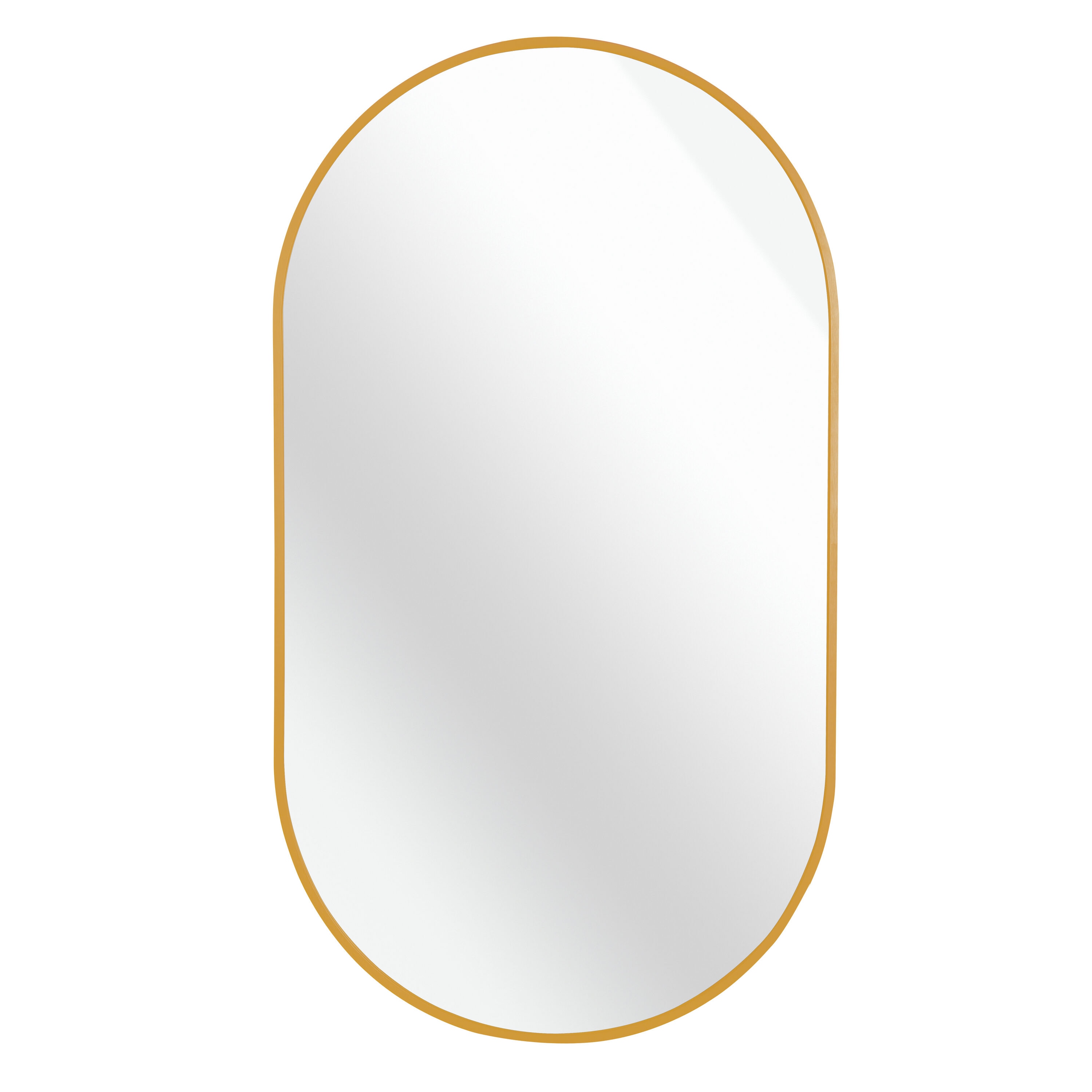 AAZJ 20-in x 28-in Beveled Oval Bathroom Vanity Mirror ( Gold )