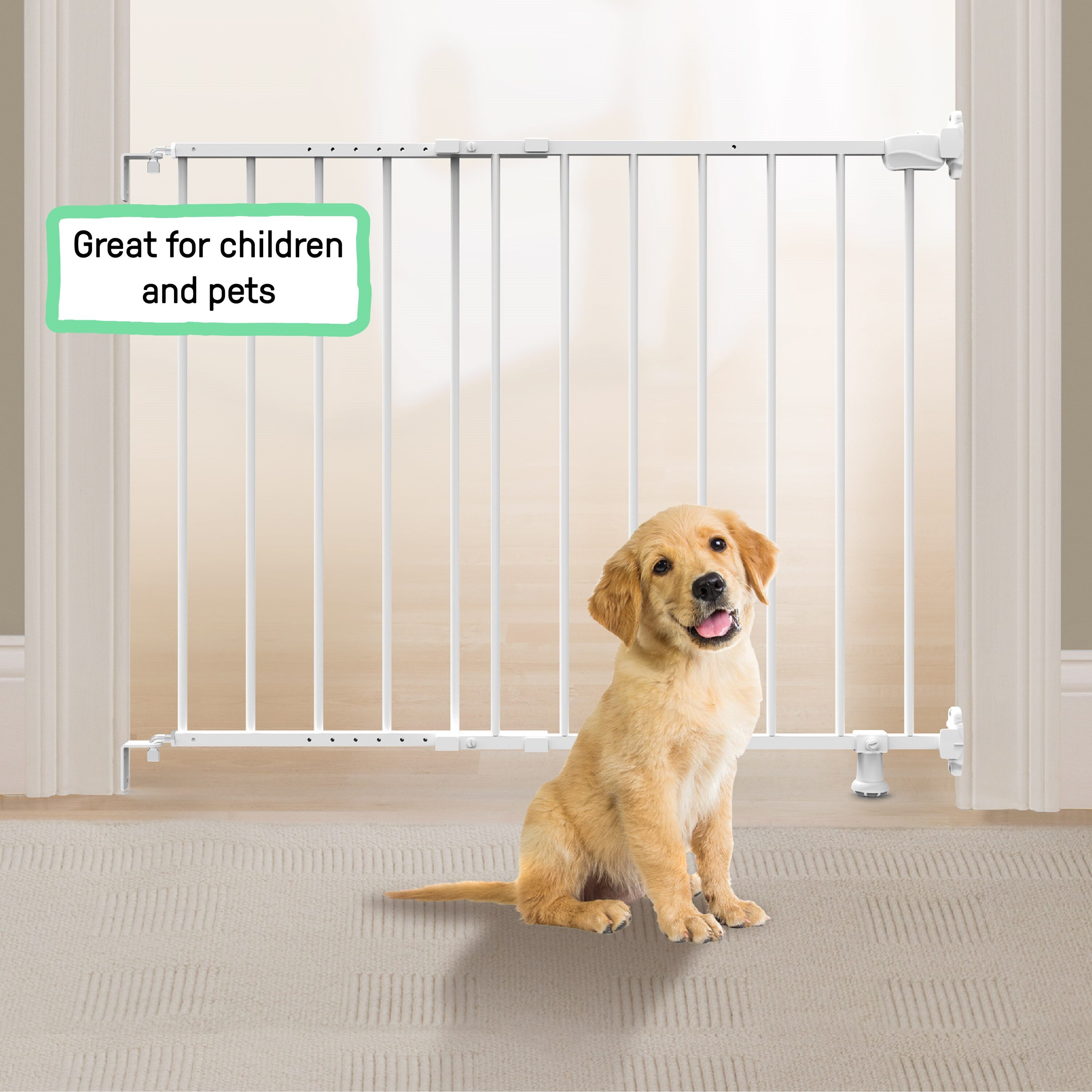 Ingenuity 27054 Pet-Gates - View #4