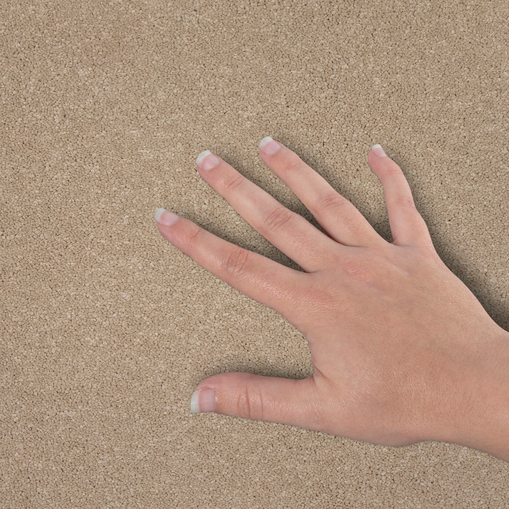 STAINMASTER SS029-L012-0808 Carpet-Samples - View #4
