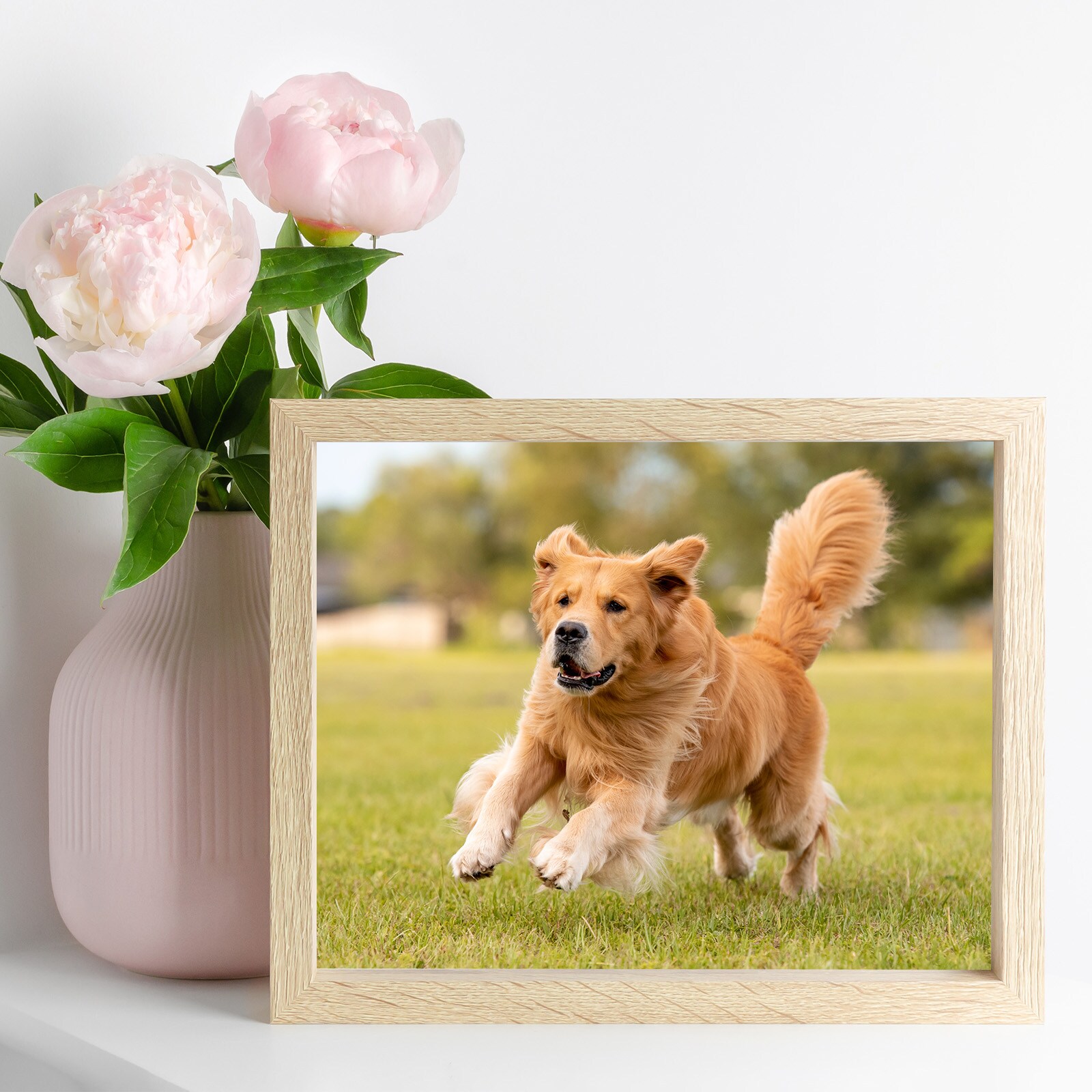 PATIKIL S25072801UX4136 Decorative-Accessories - View #7