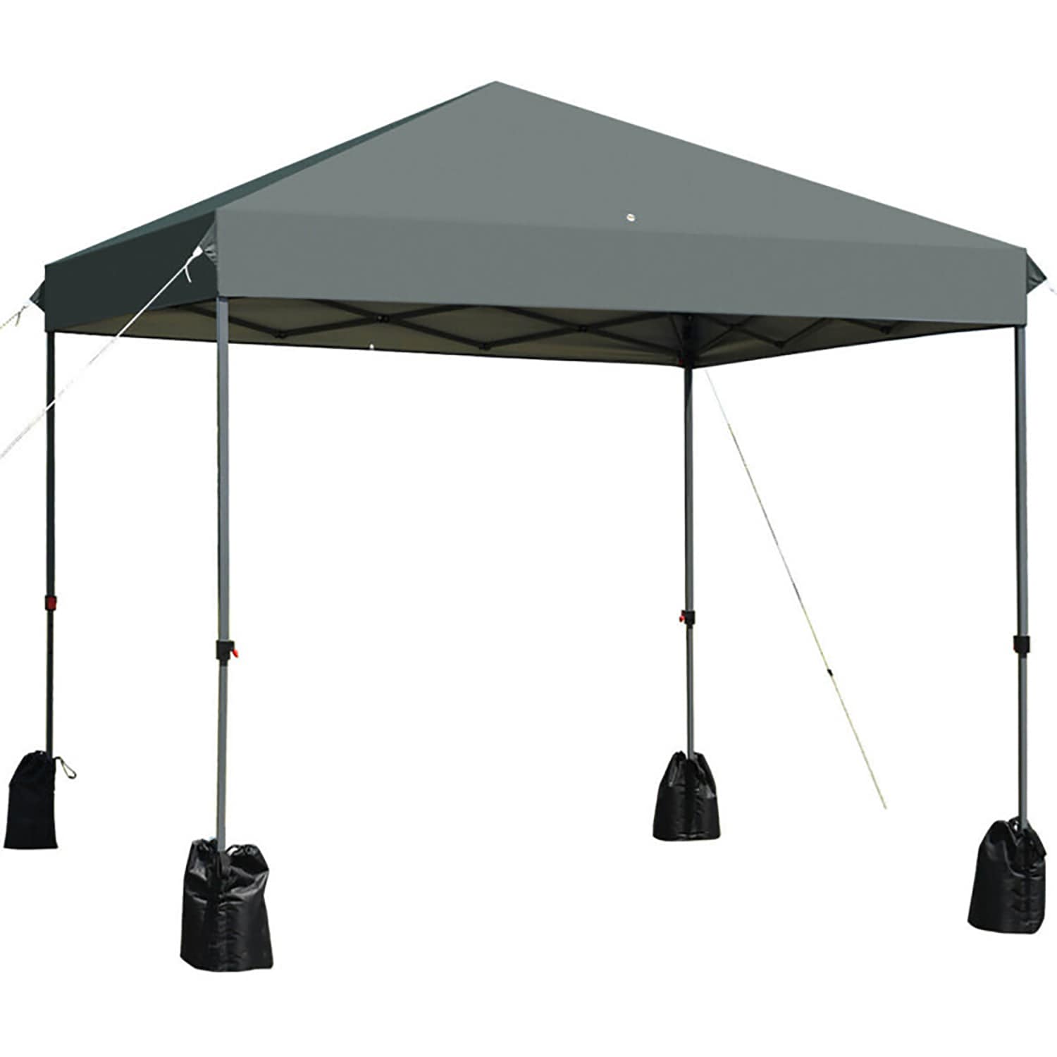 8 x 10 canopy hotsell