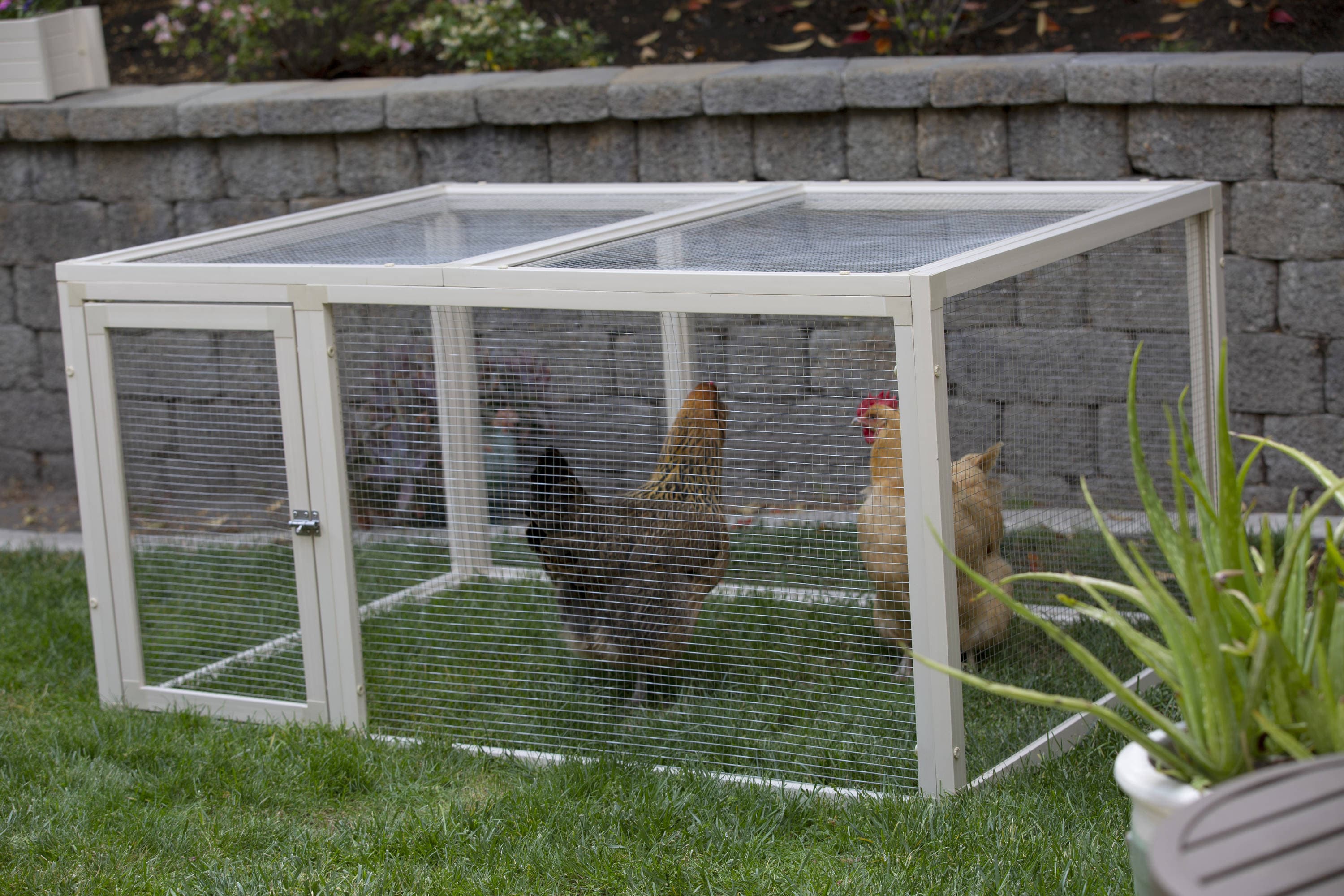 Jumbo Off-White ECOFLEX Chicken Pen with Stainless Steel Wire