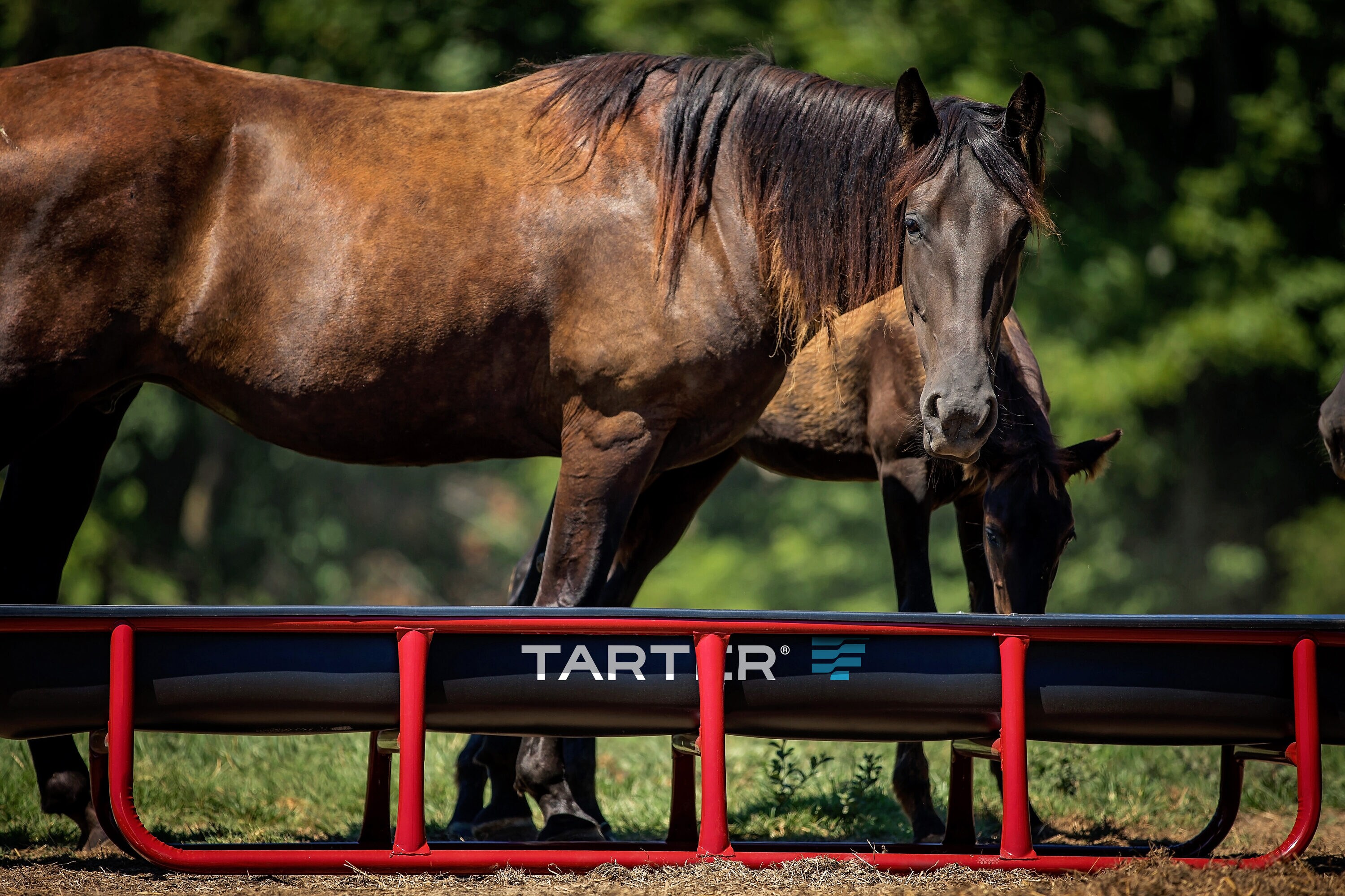 Tarter 1PBL10 Farm-Ranch-Feeders - View #2