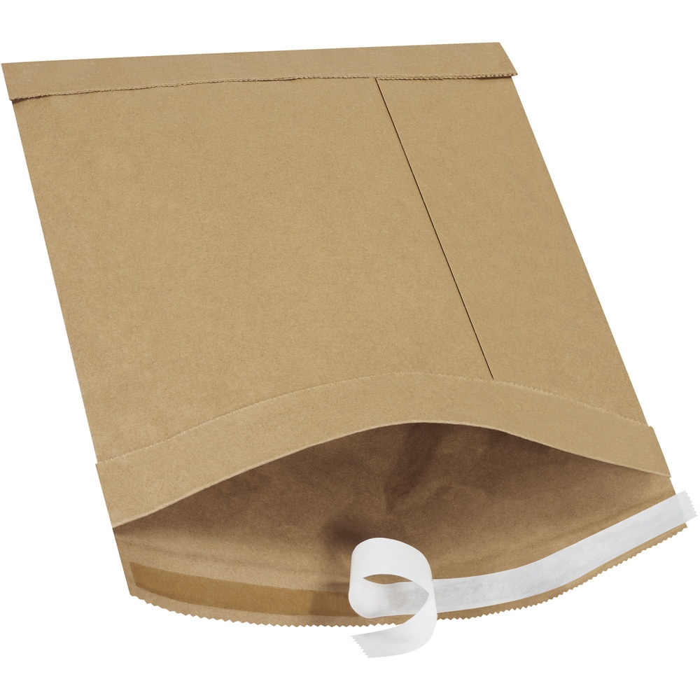 Project Source B805SS25PK 25 -Count #2 12-Inches x 8.5-Inches