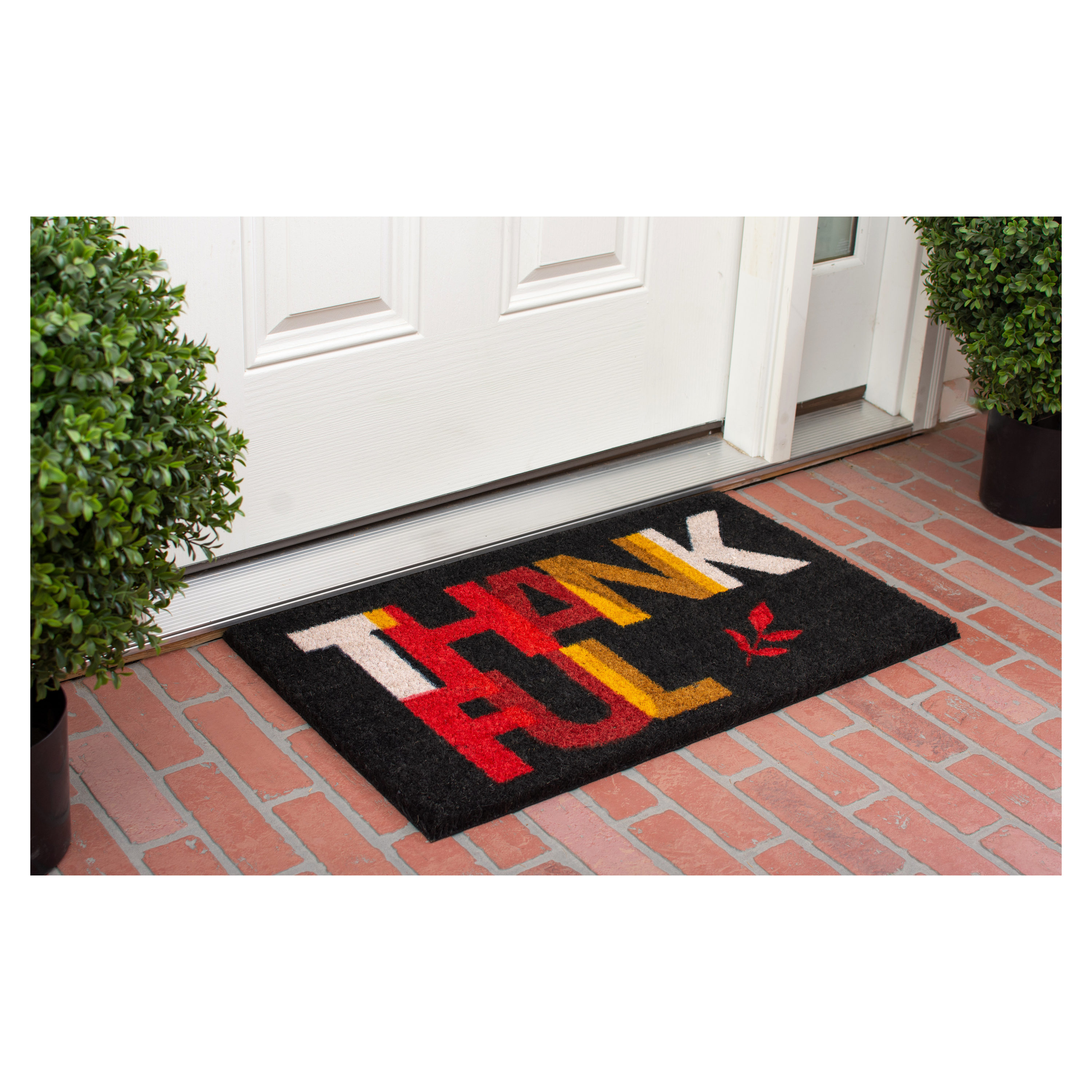 Callowaymills 102371729 Mats-Cat - View #2