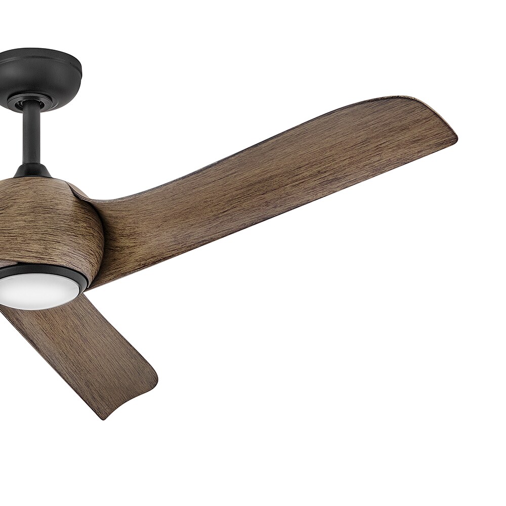 Hinkley 907256FBD-LDD Ceiling-Fans - View #4